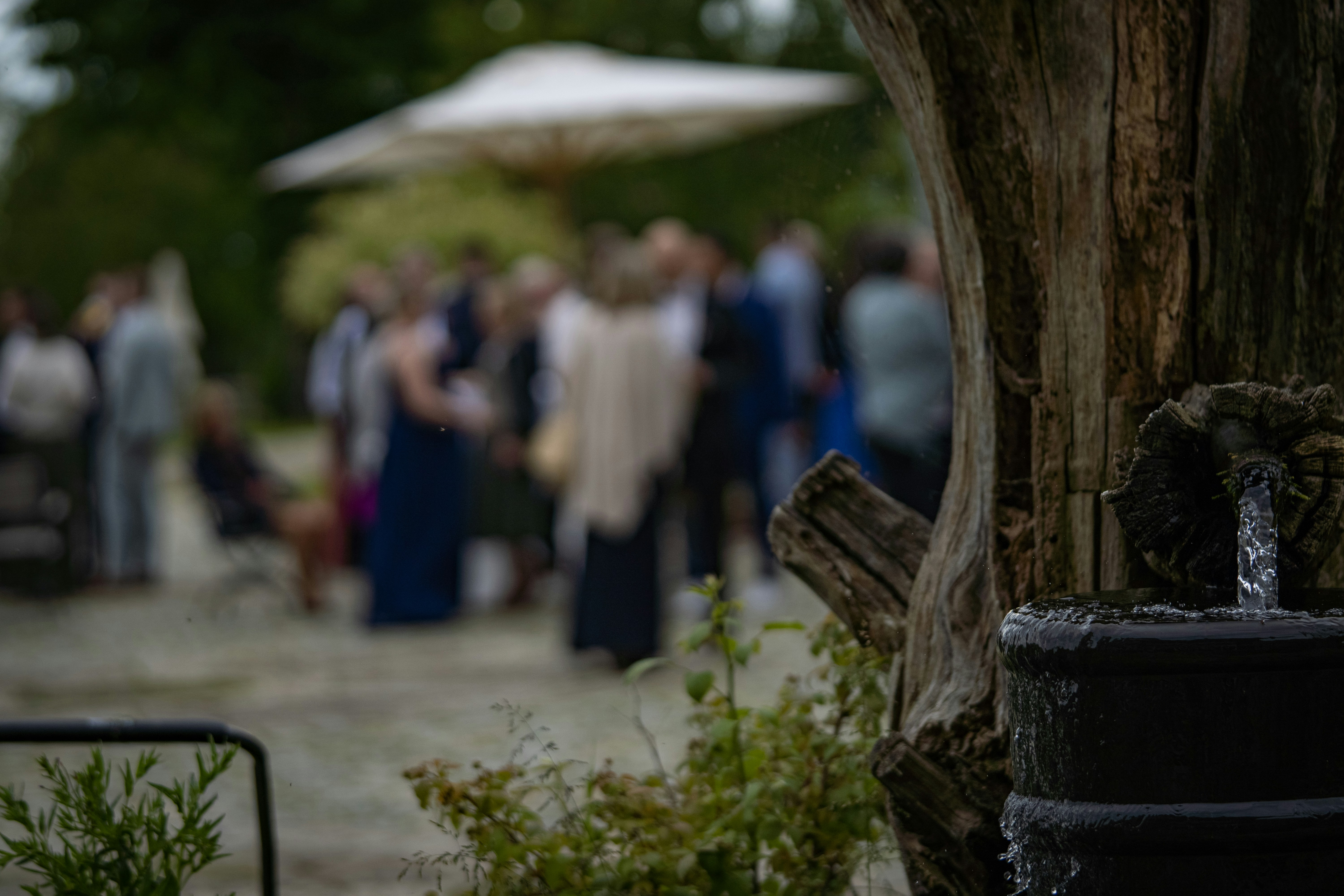 A group of people standing around a tree