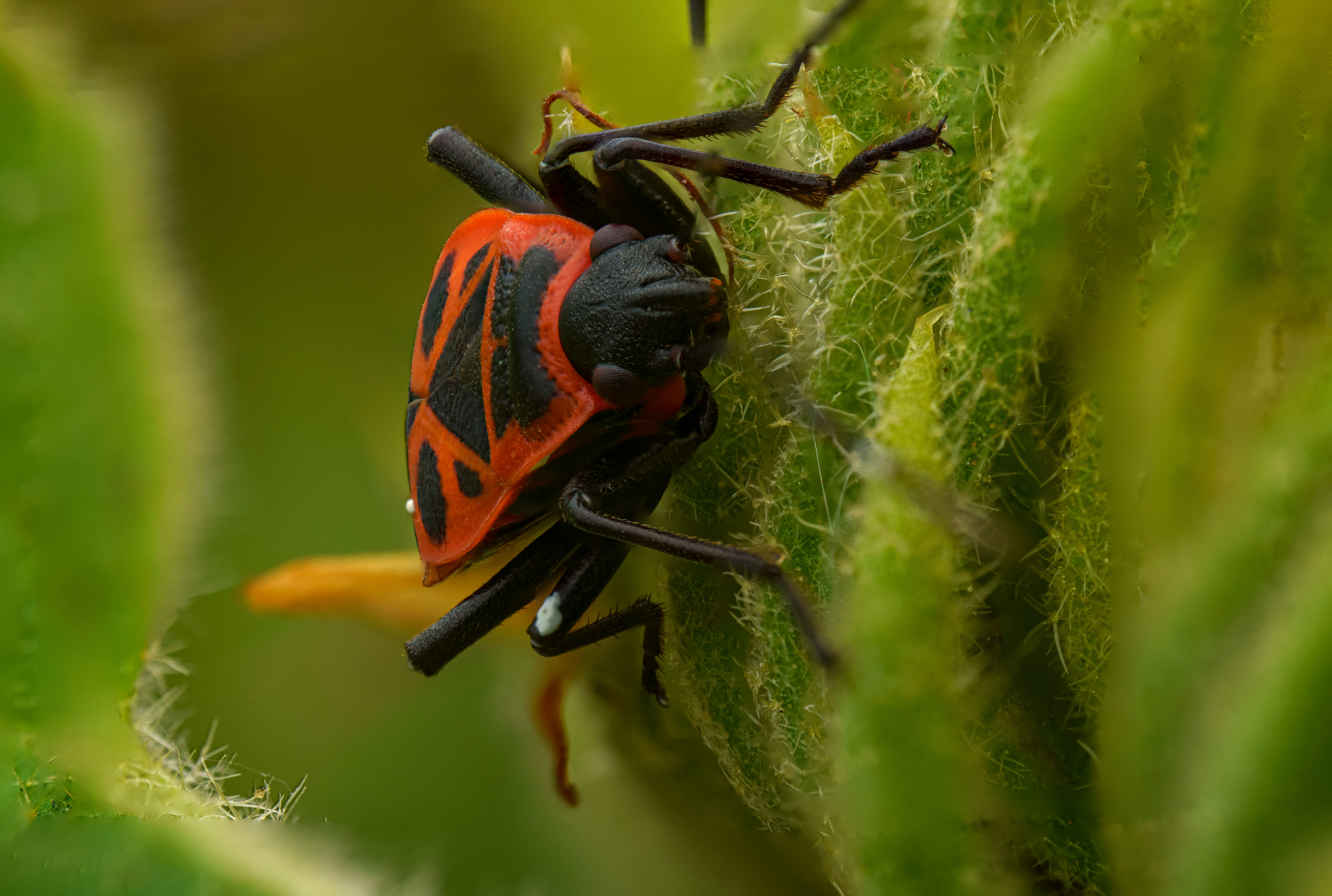 Impact on Insect Life (image credits: unsplash)
