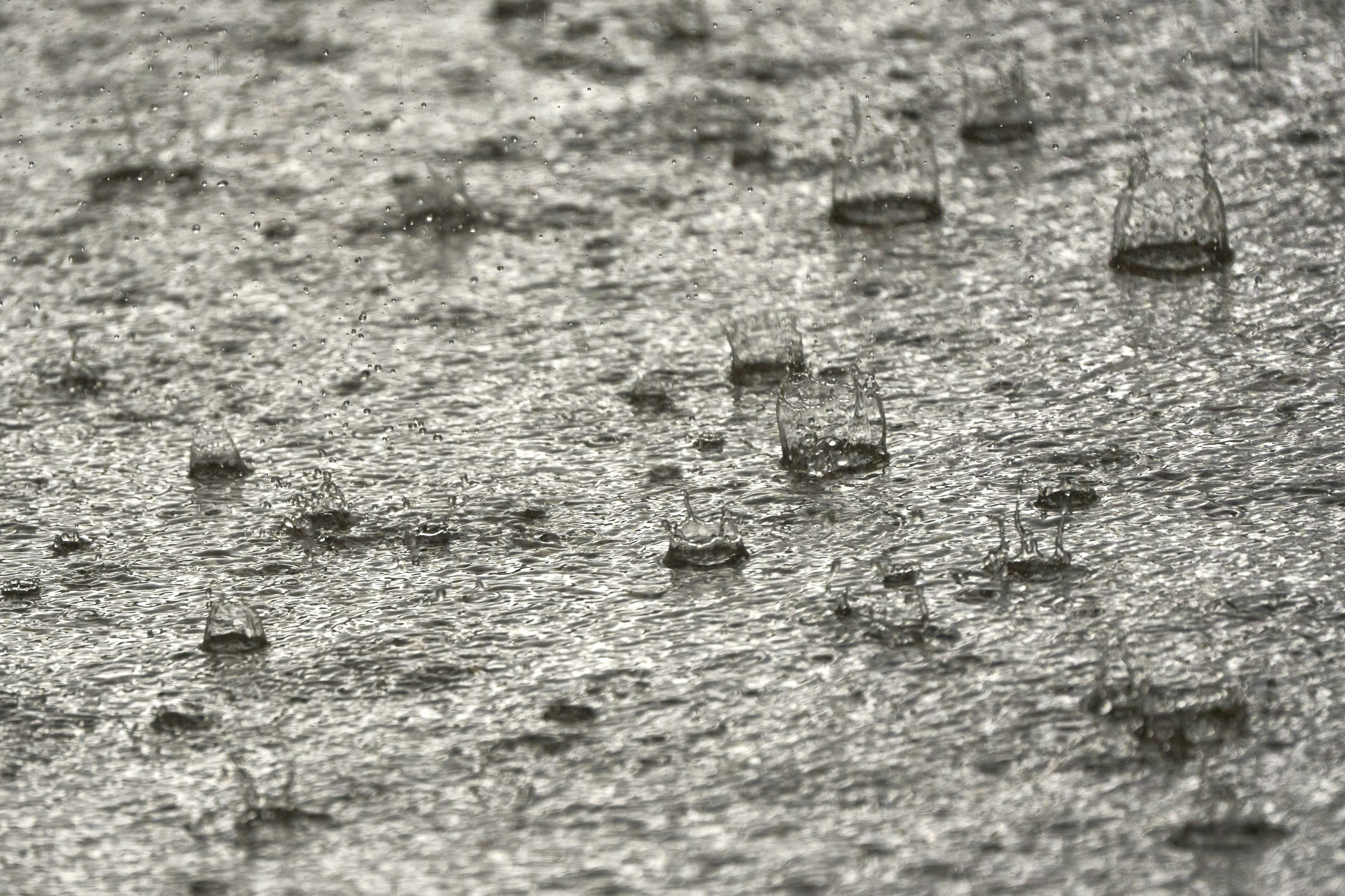 Photo by wolfgang_hasselmann