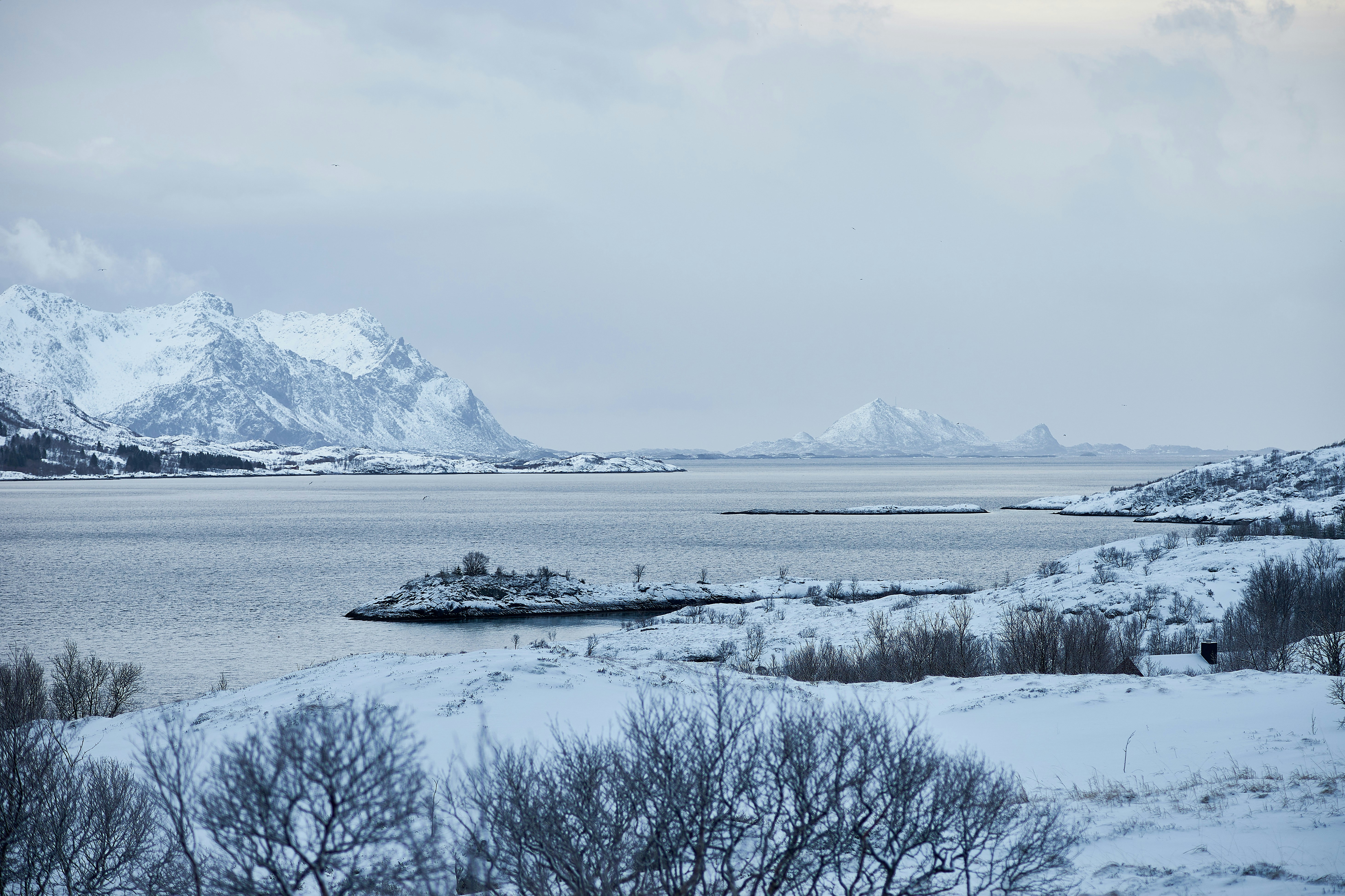 Photo by wolfgang_hasselmann