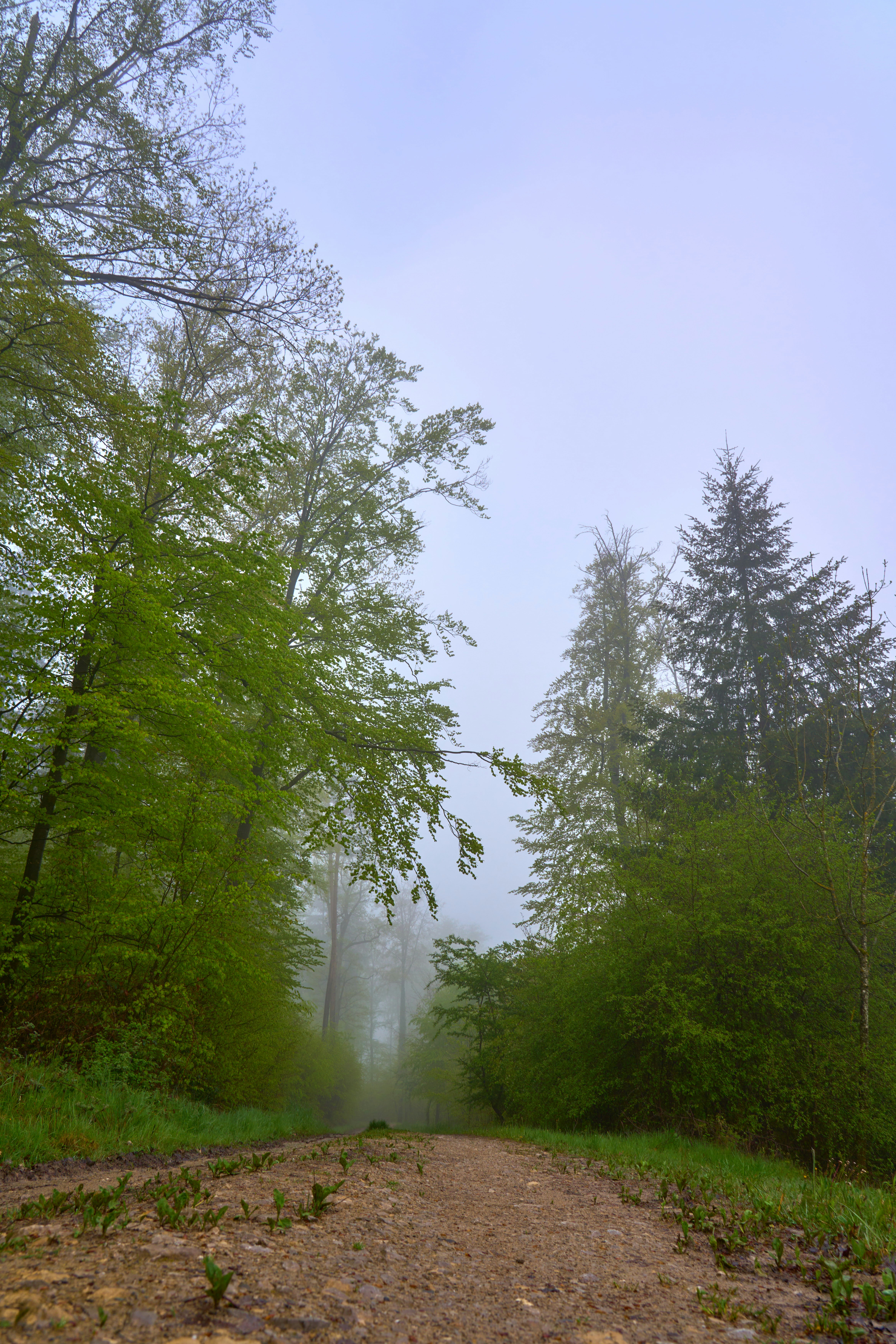 Photo by wolfgang_hasselmann