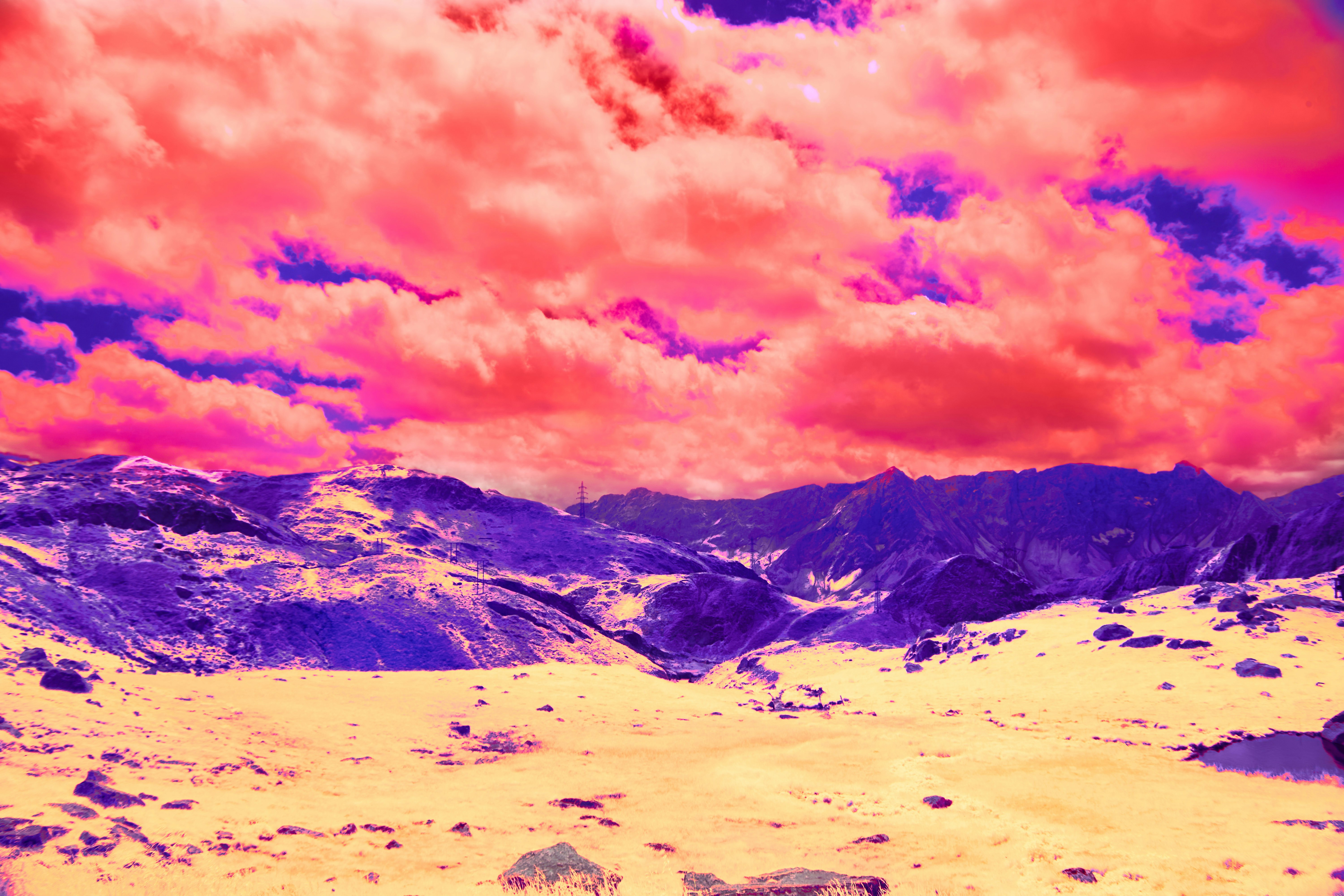 Photo by wolfgang_hasselmann