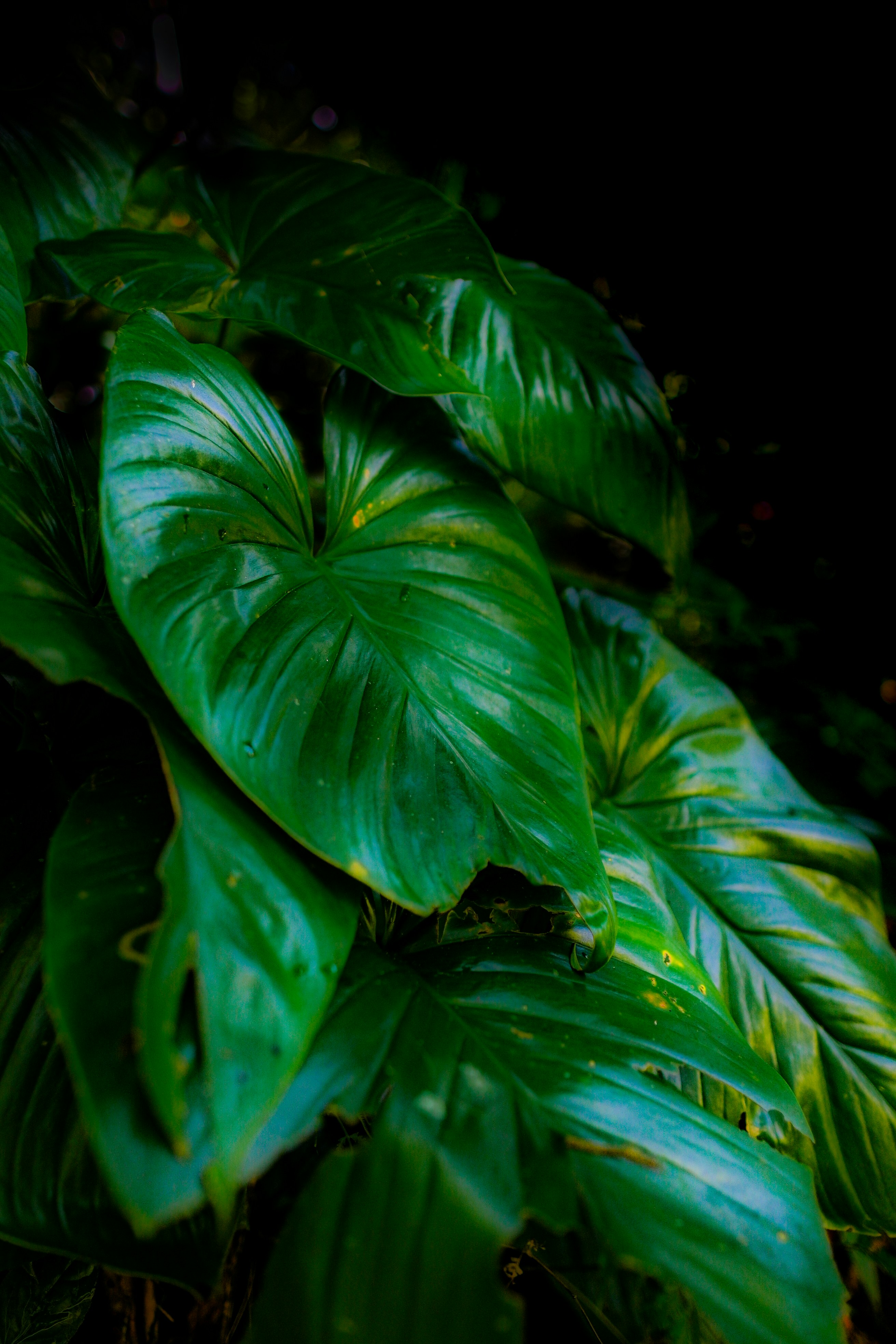 Photo by aron_snowsill