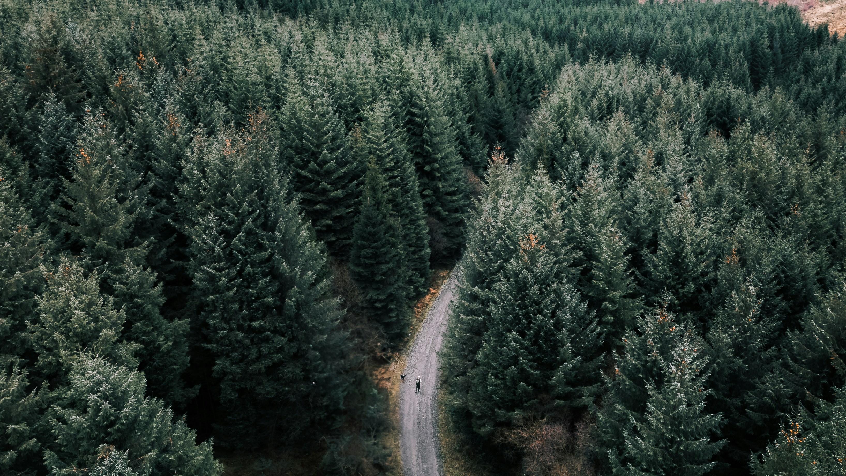 Photo by aron_snowsill