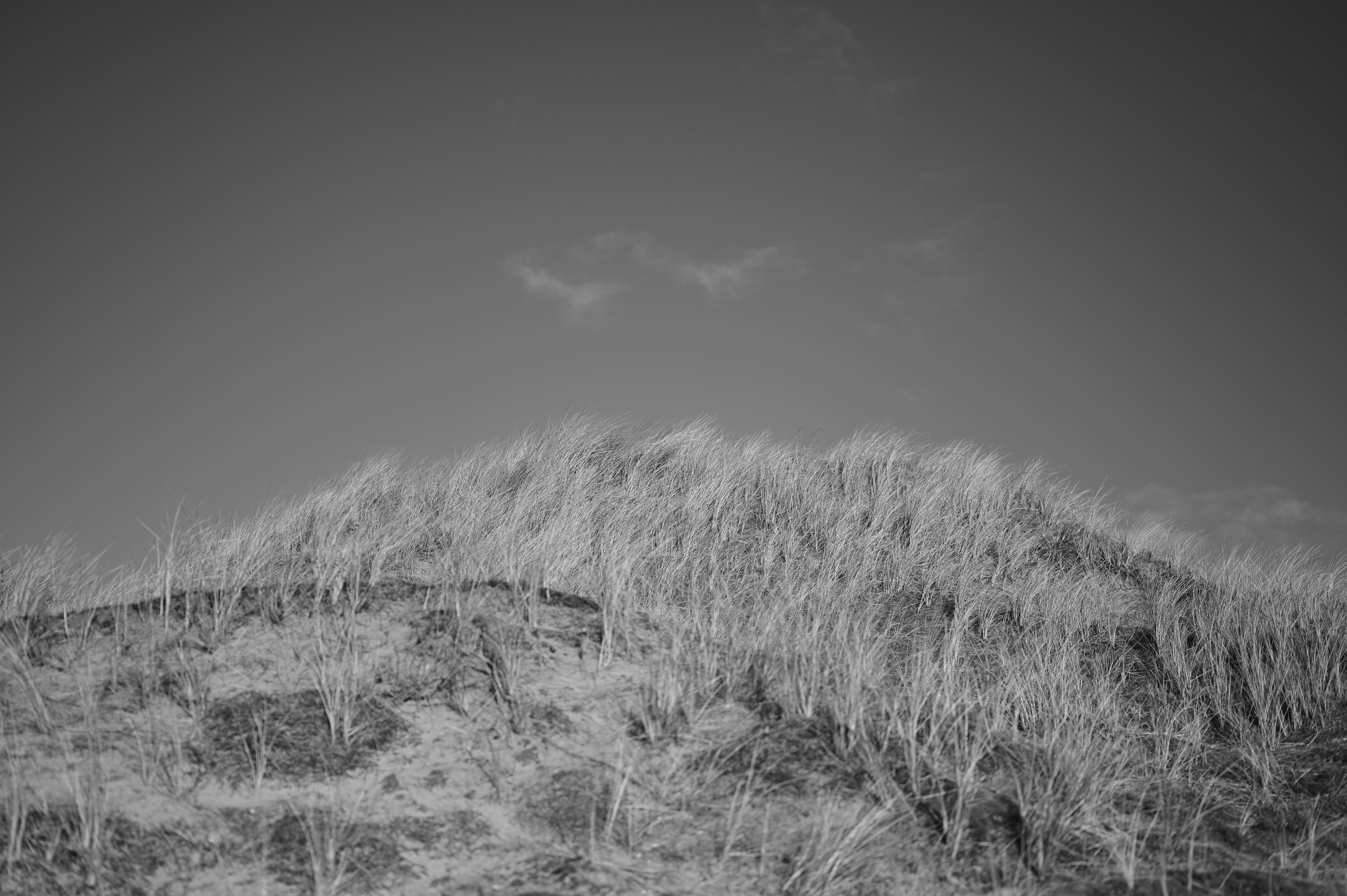 Photo by aron_snowsill