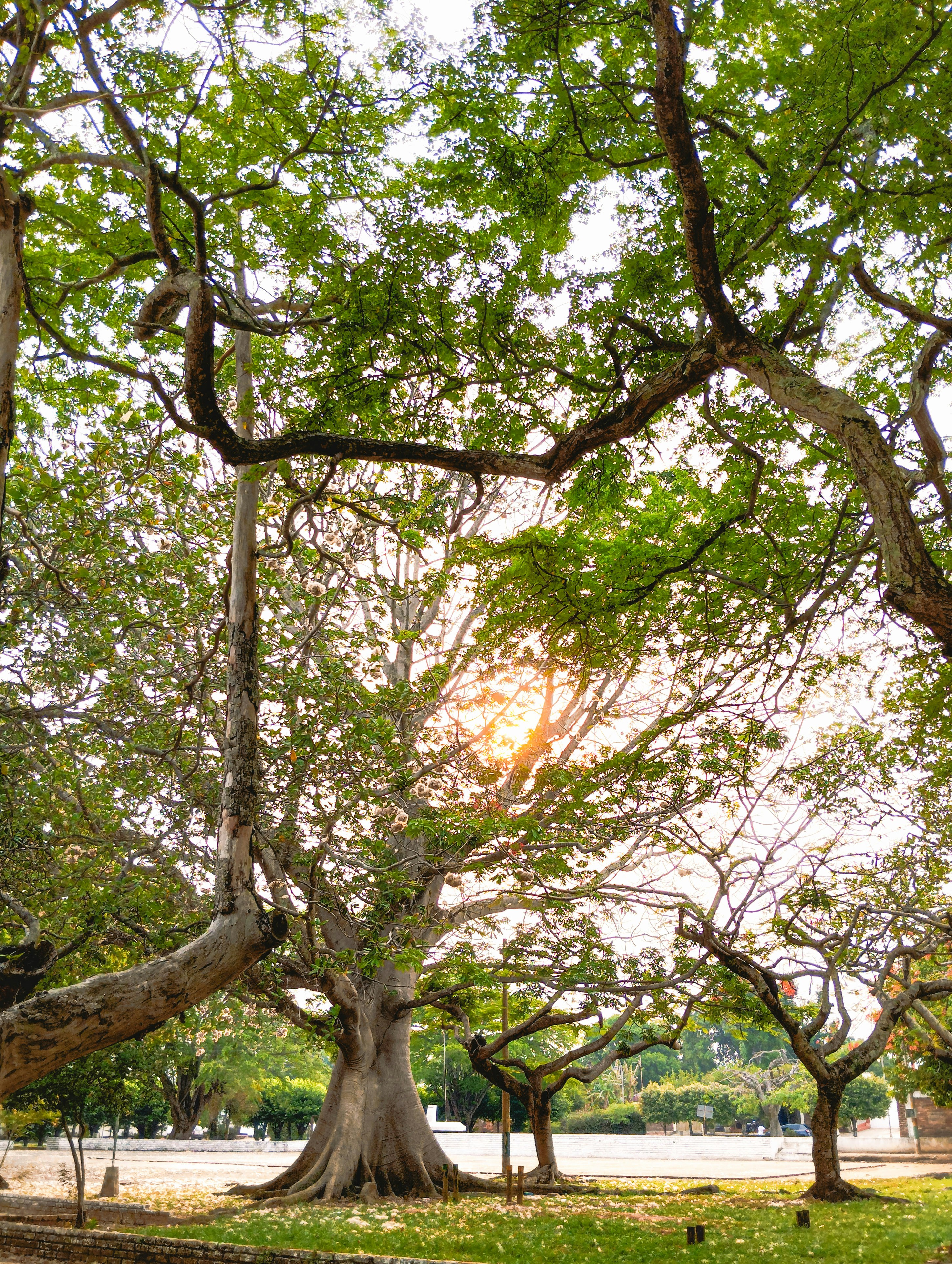 Photo by efrendavidrojas