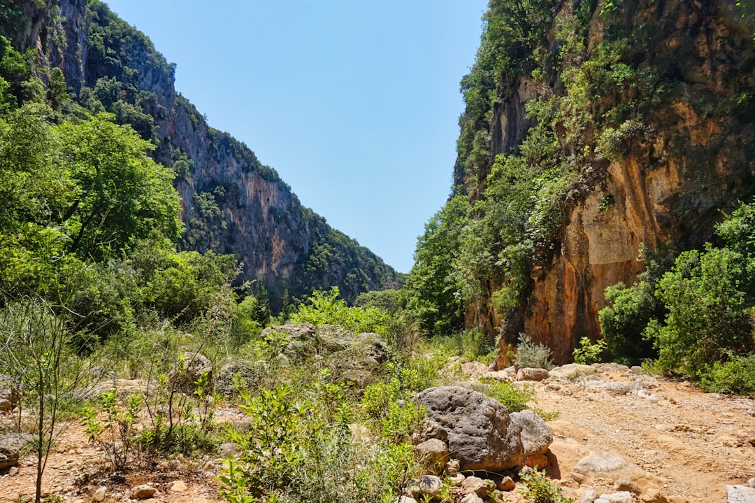 A dirt road surrounded by mountains and trees