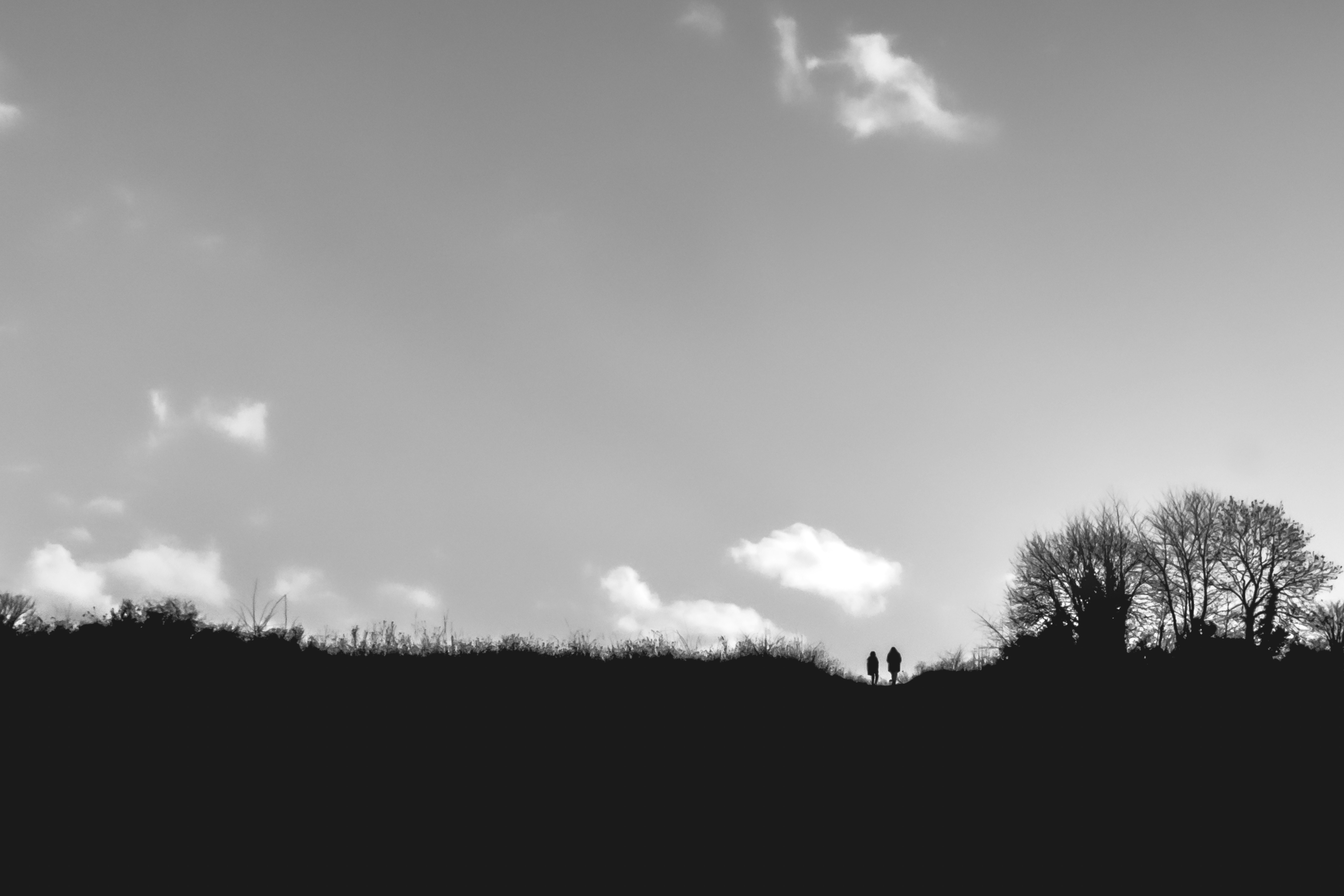 Photo by abushihabmarey