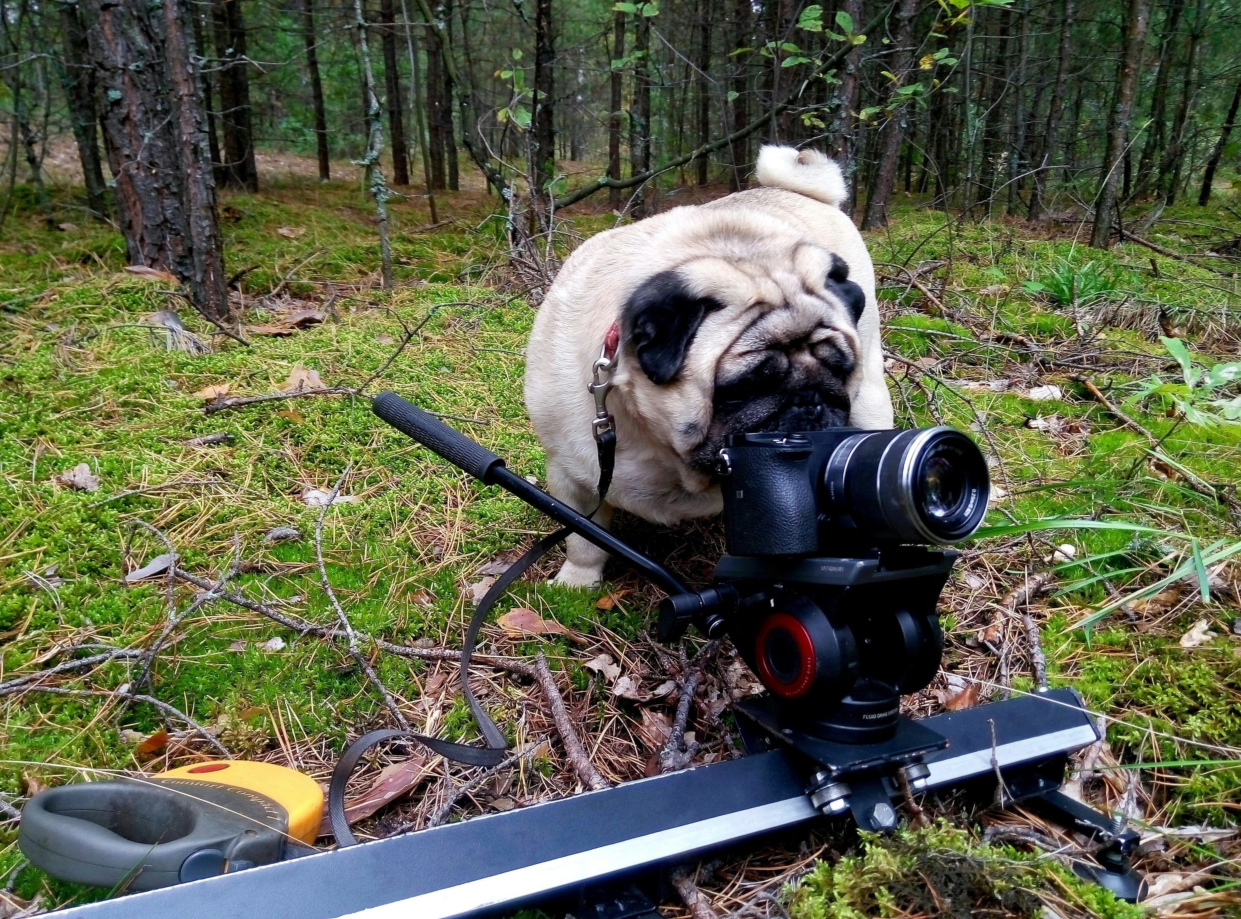 Pioneering wildlife cameraman Doug Allan dies in Nepal