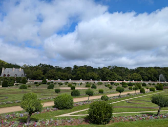 A view of a large field with a lot of trees