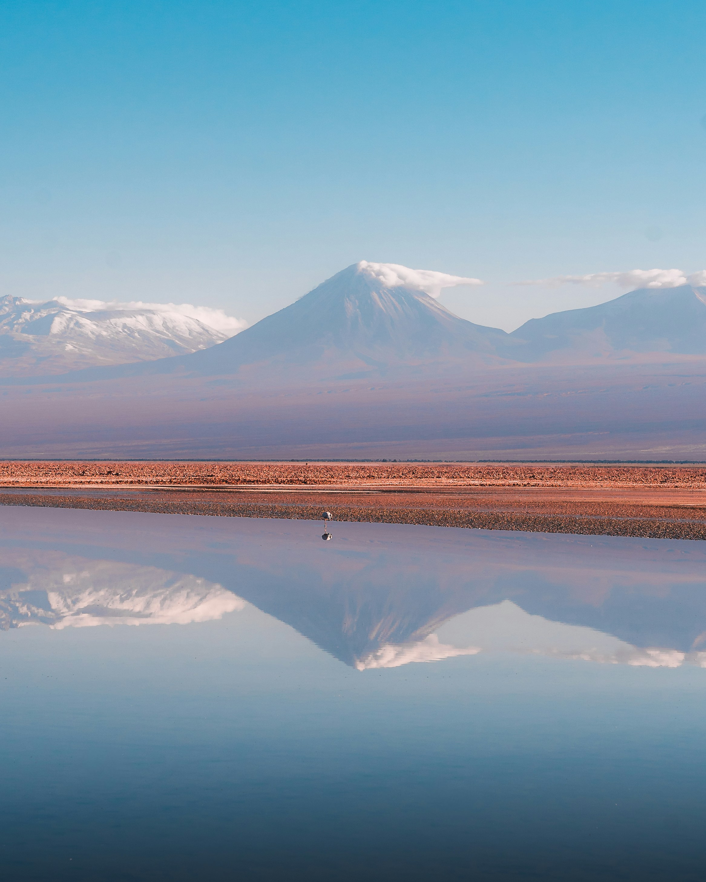 Photo by willianjusten