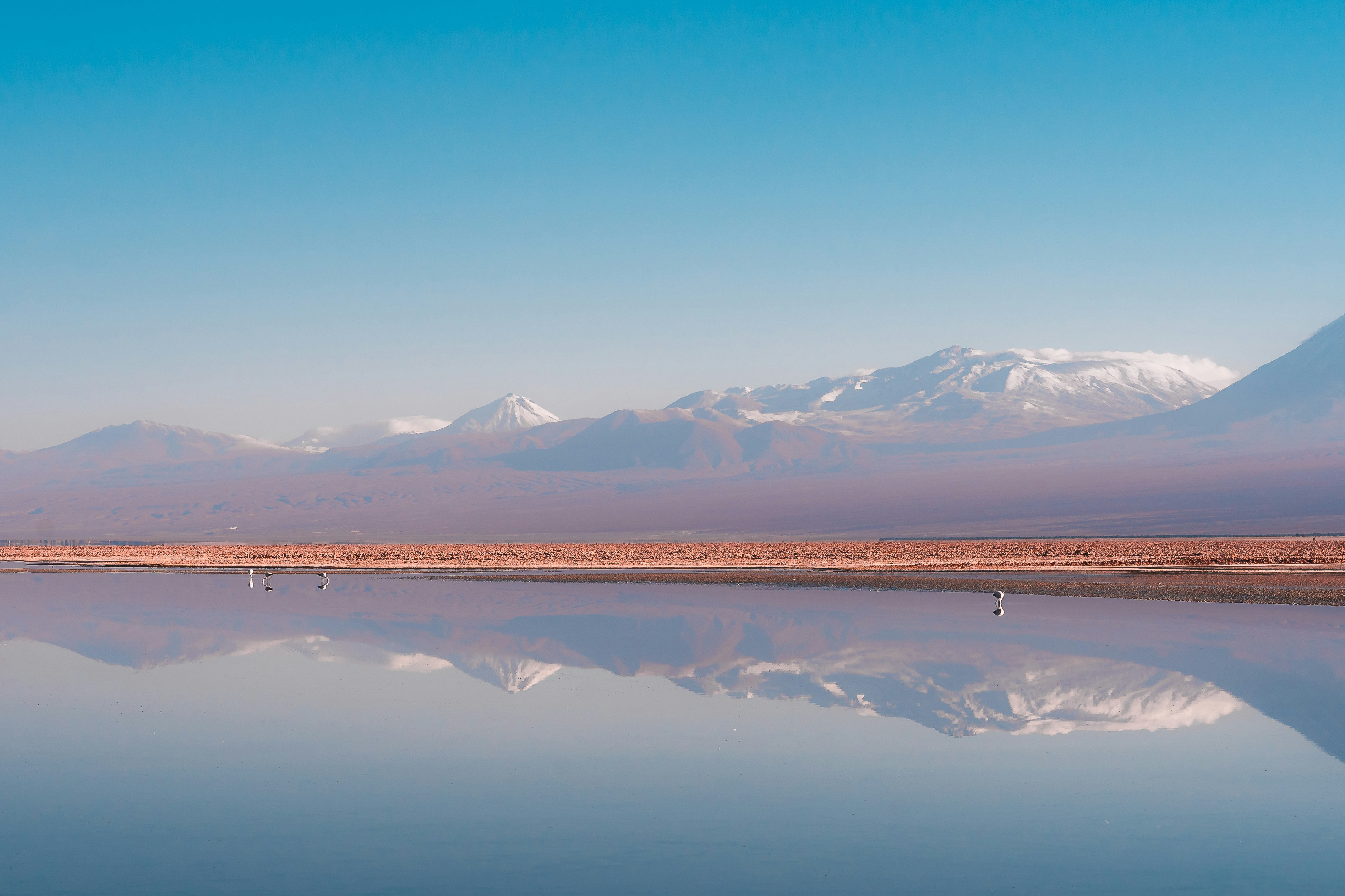 Photo by willianjusten