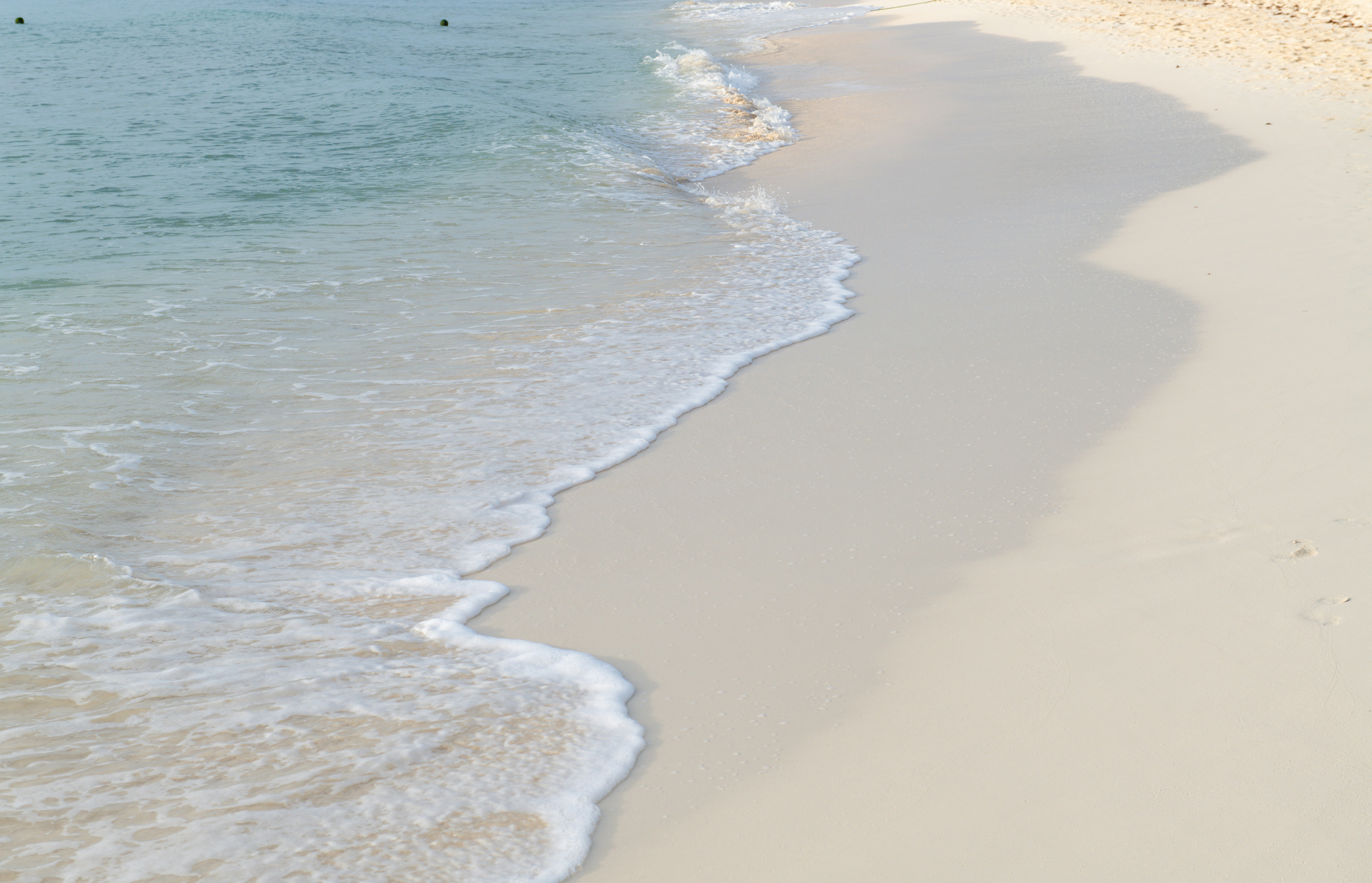 Photo by sriniunsplash