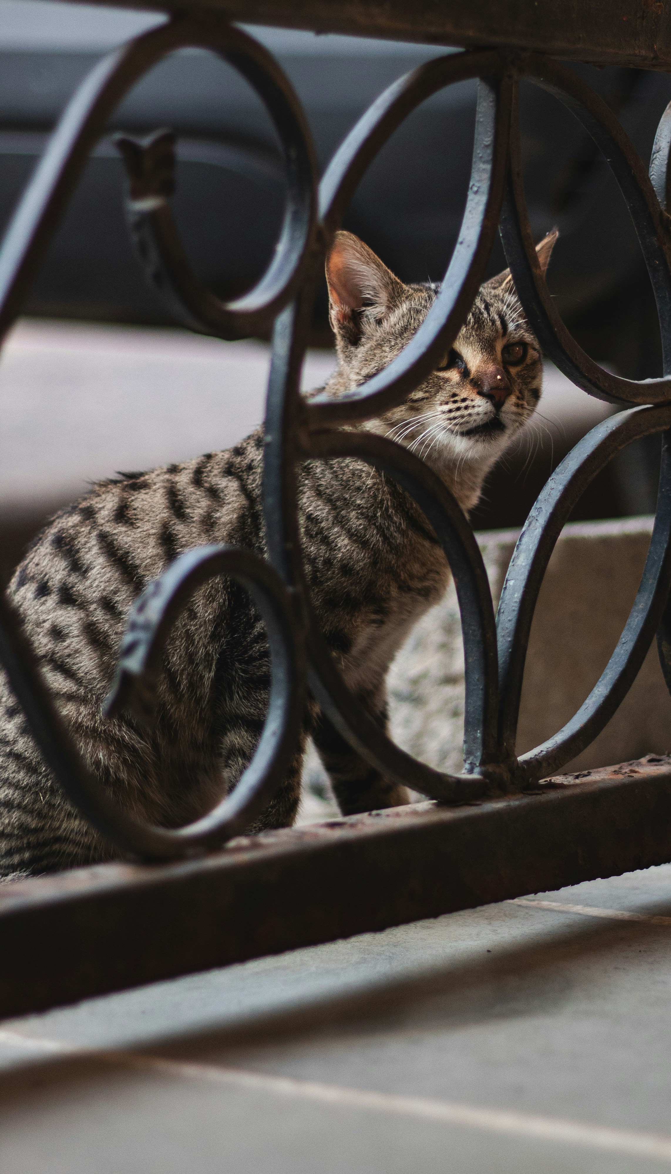 Photo by lakshya2001