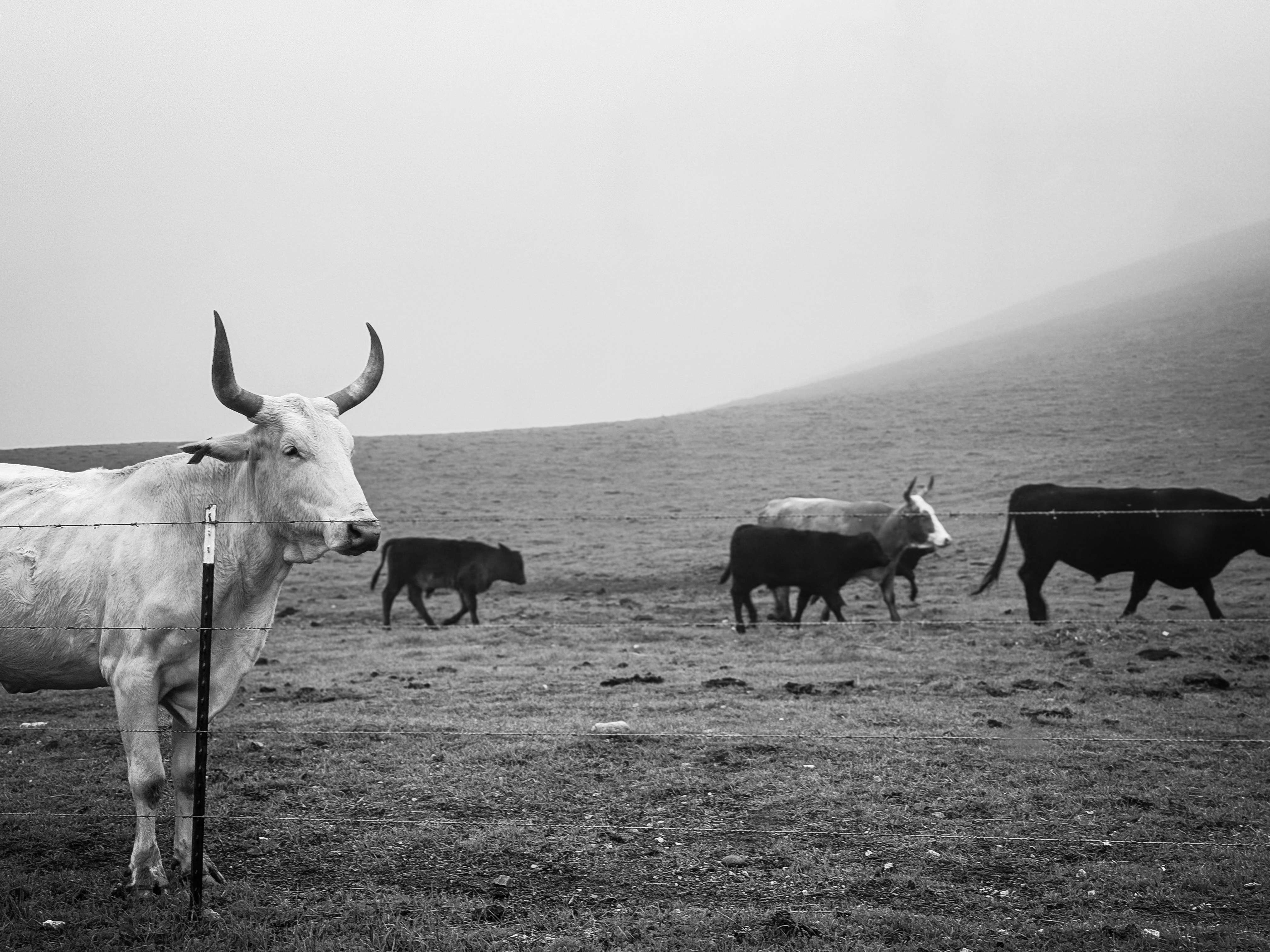 Photo by sixteenmilesout