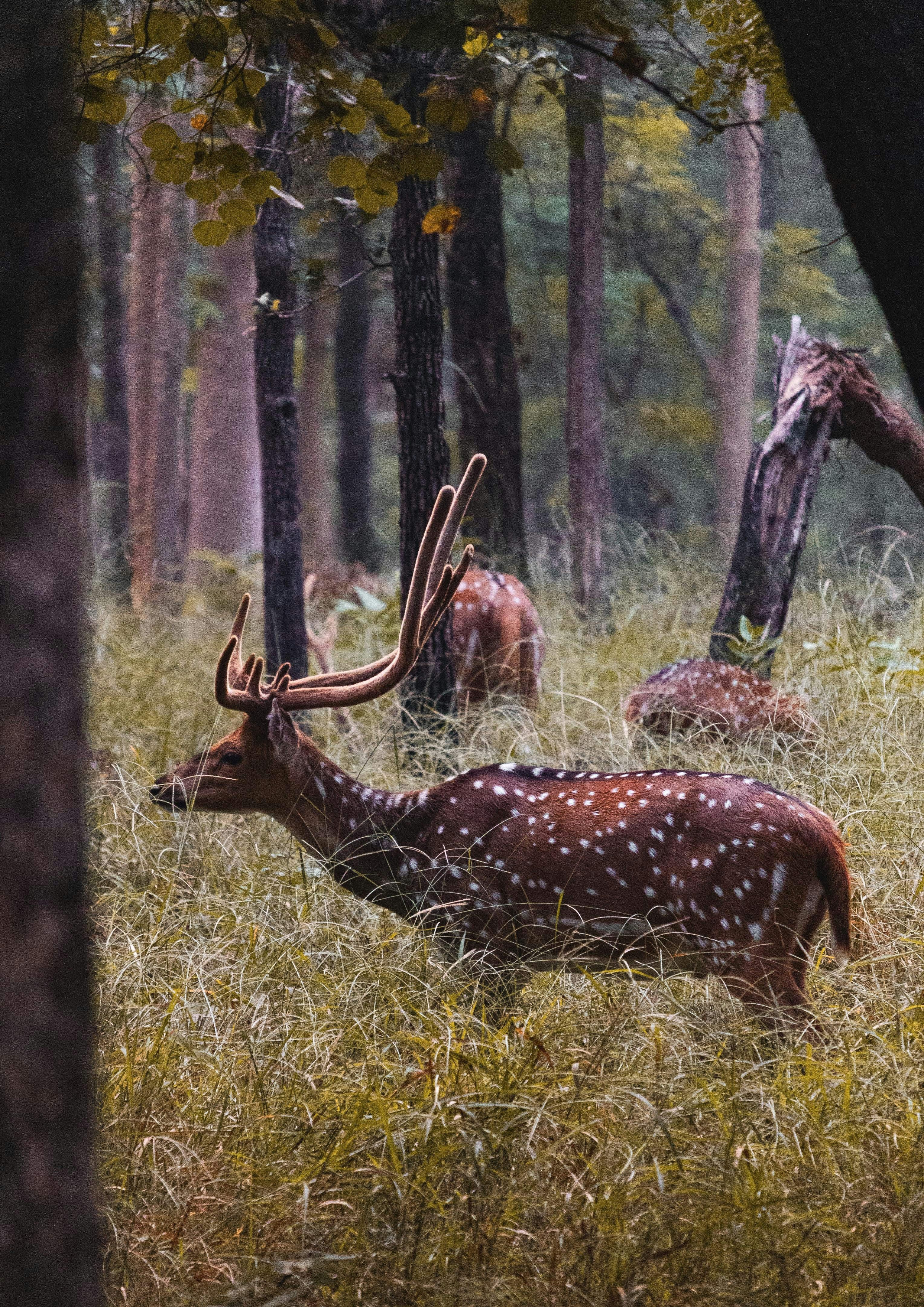 Photo by lakshya2001