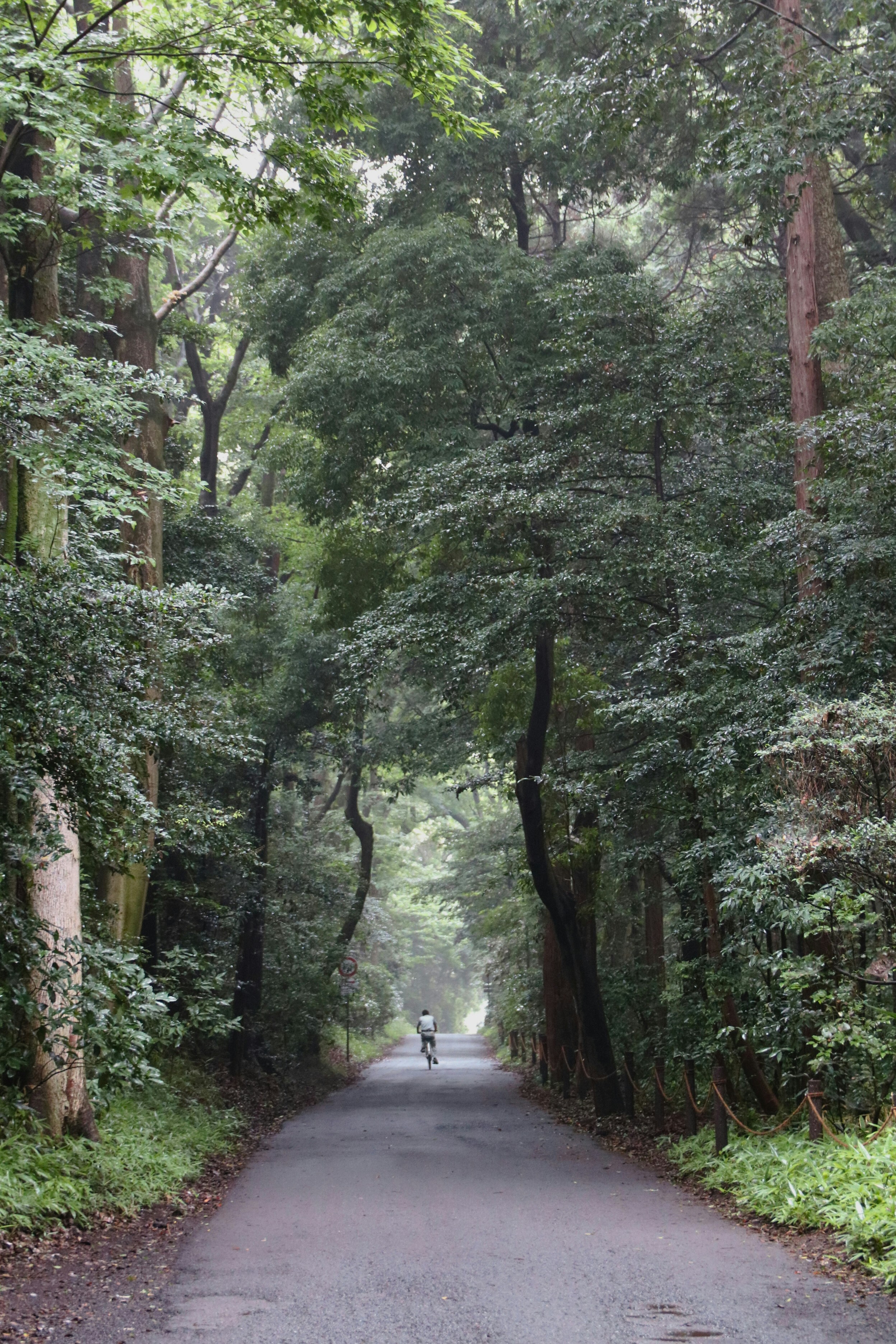 Photo by brunafisantos