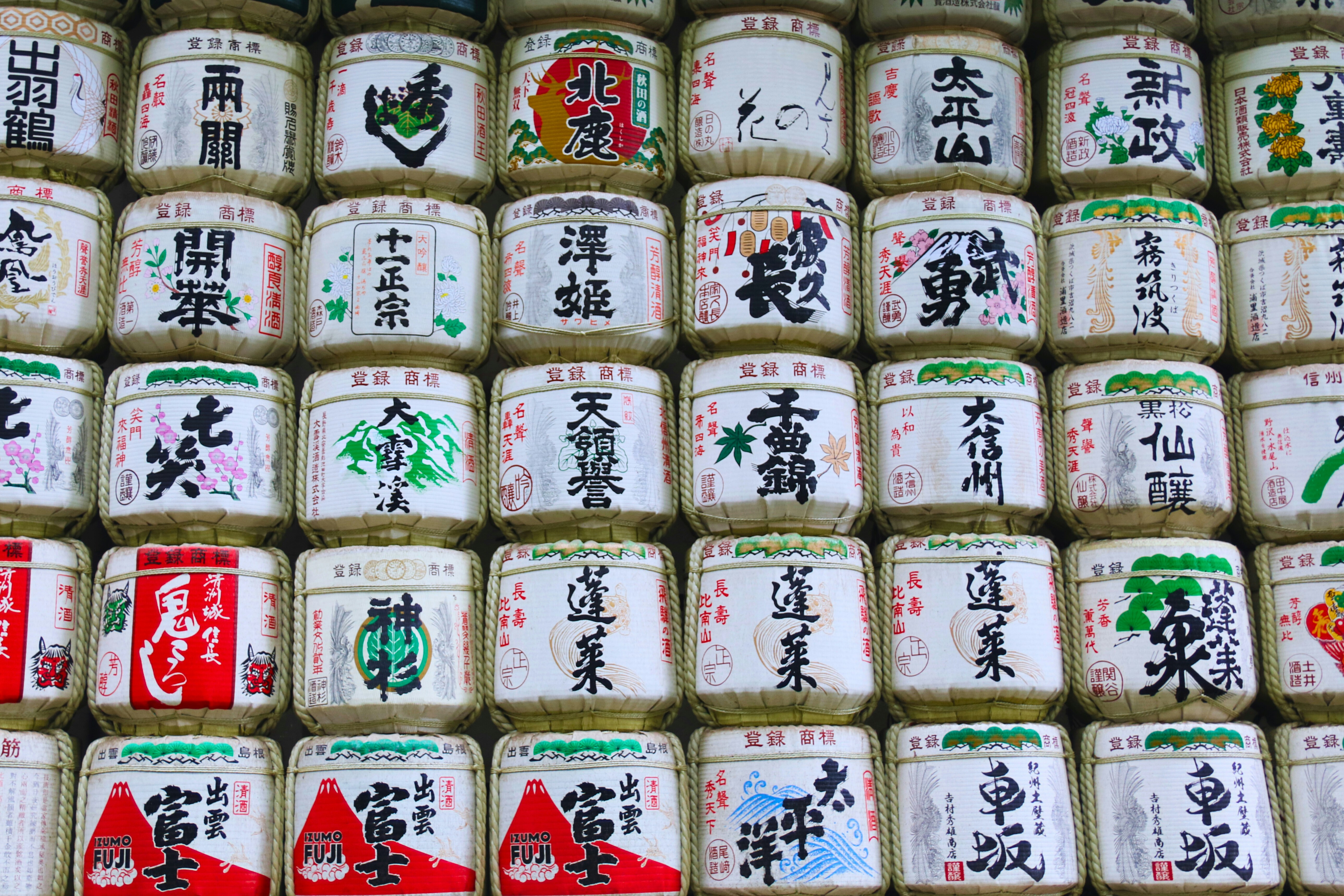 Photo by brunafisantos