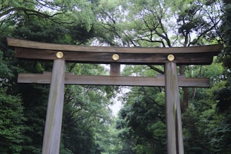 A large wooden gate in the middle of a forest