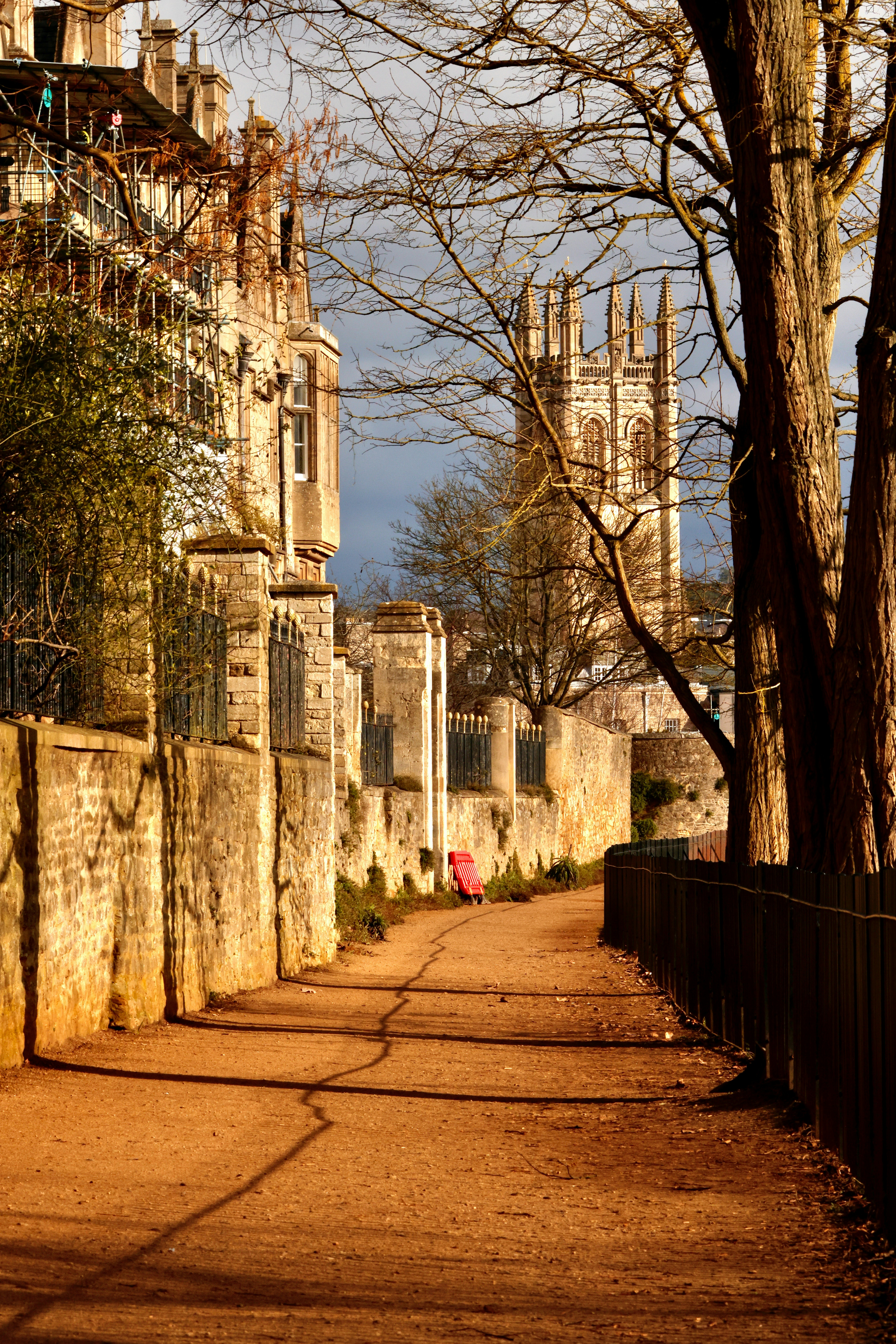 A street lined with tall buildings next to trees