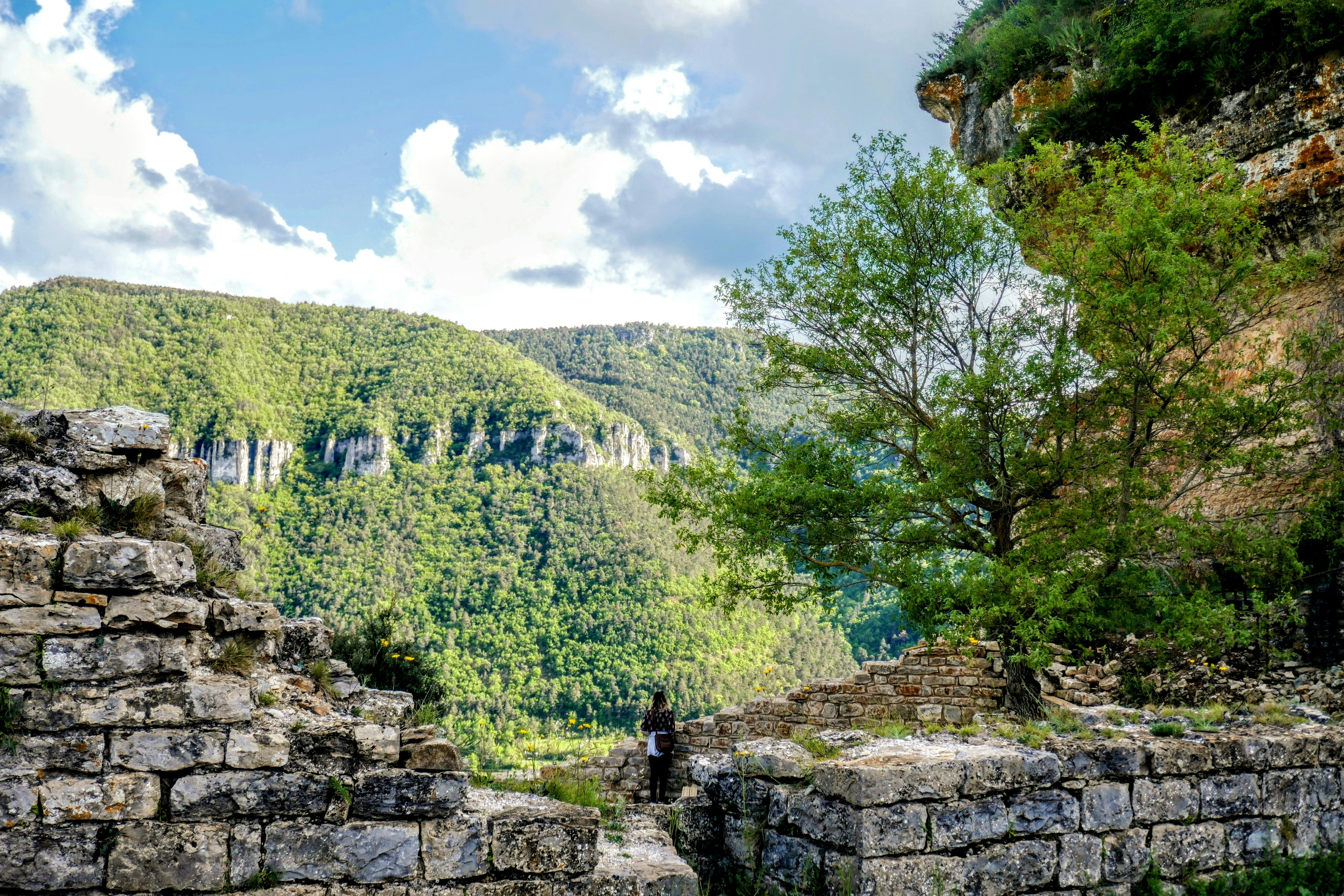 A man standing on top of a stone wall next to a lush green hillside