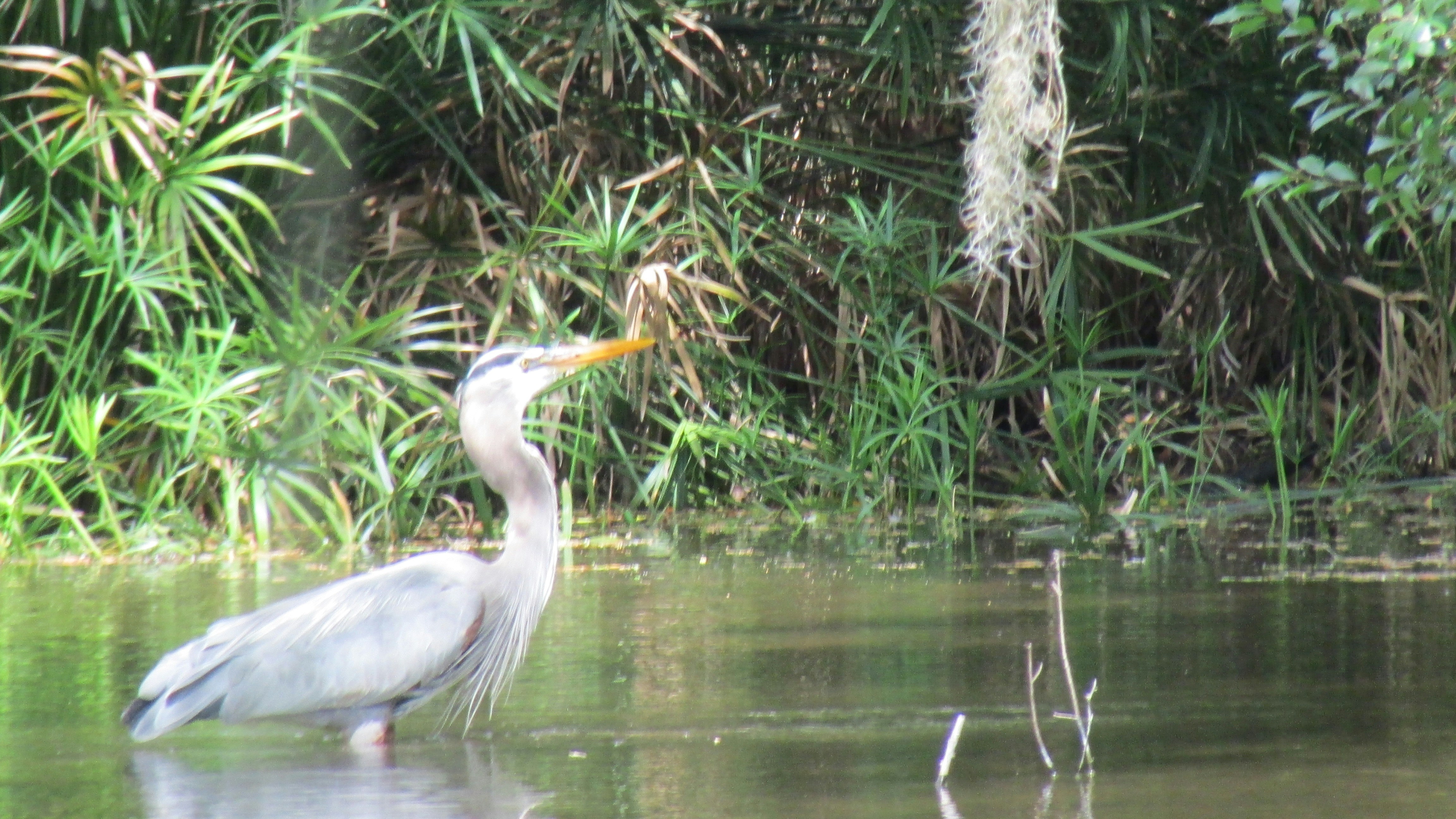 Photo by newmediaart