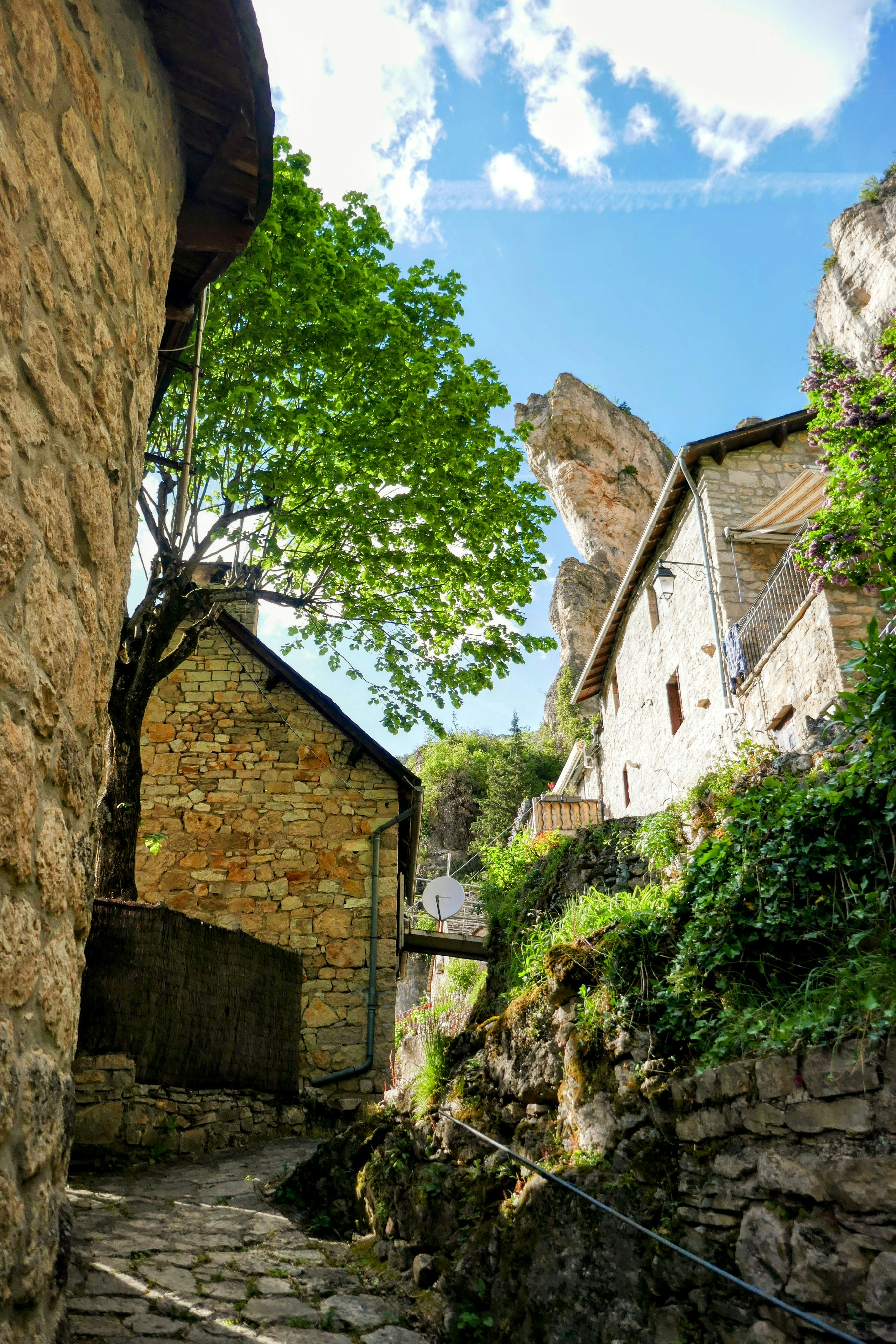 A stone building with a tree growing out of it