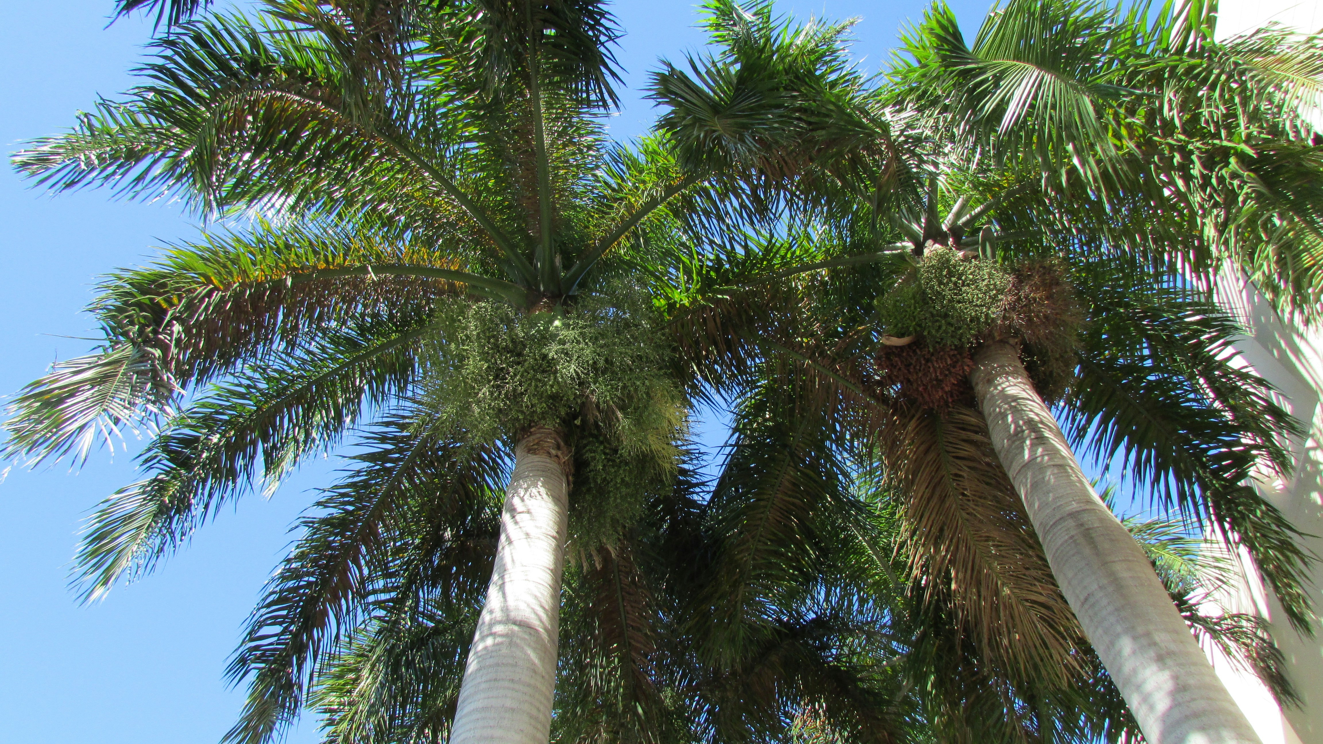 Photo by newmediaart