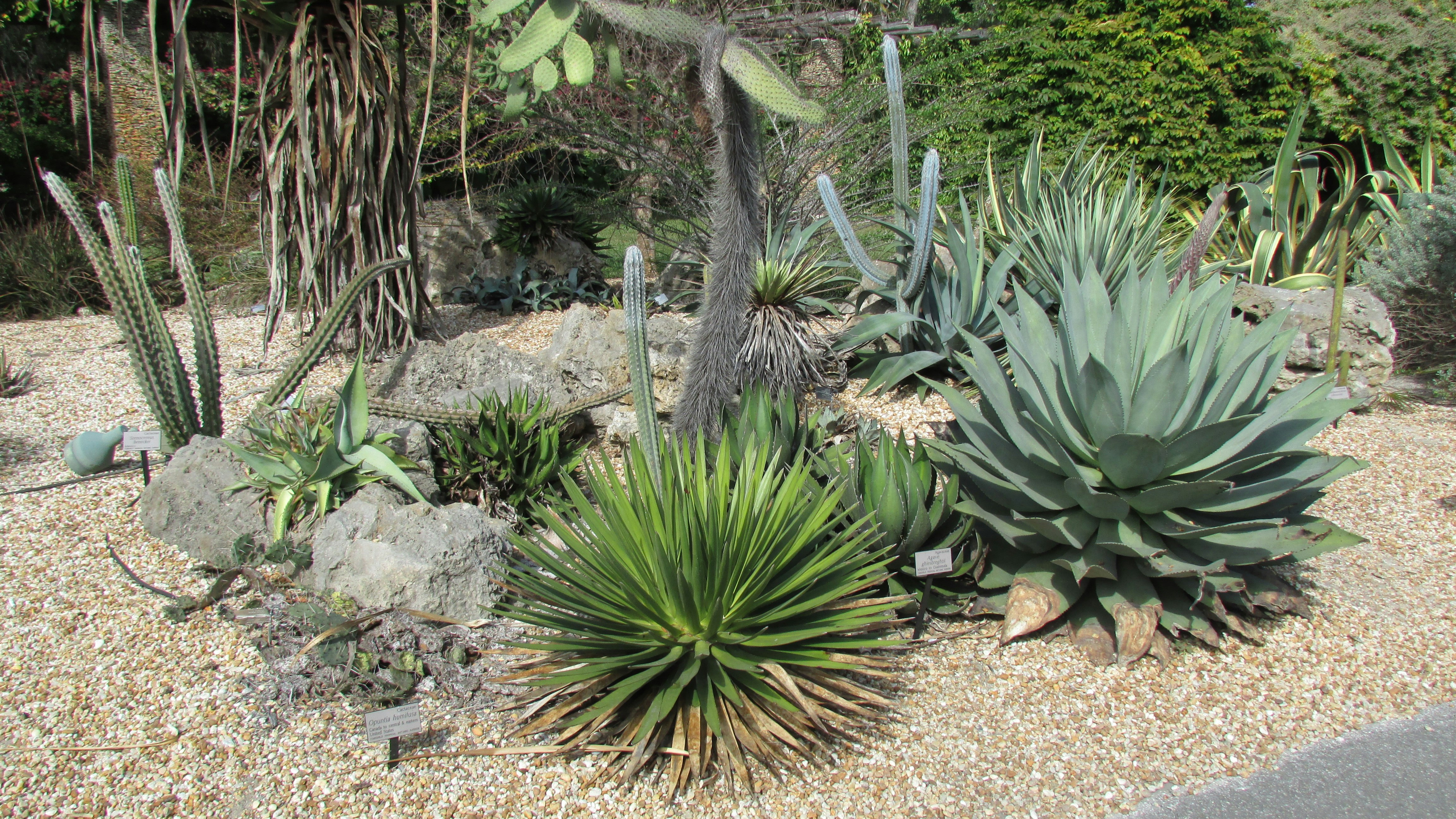 Photo by newmediaart