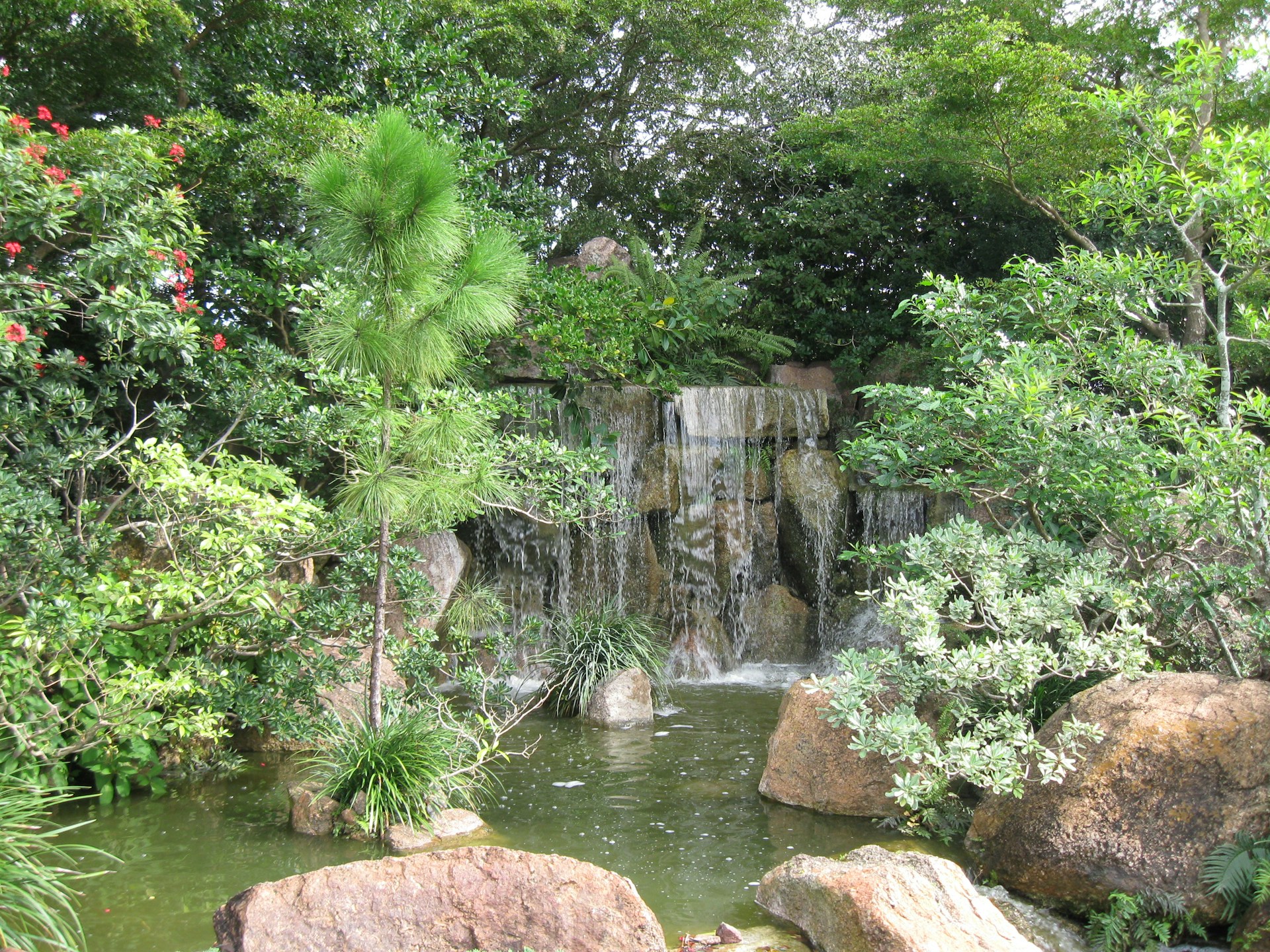 A pond with a waterfall surrounded by trees and rocks