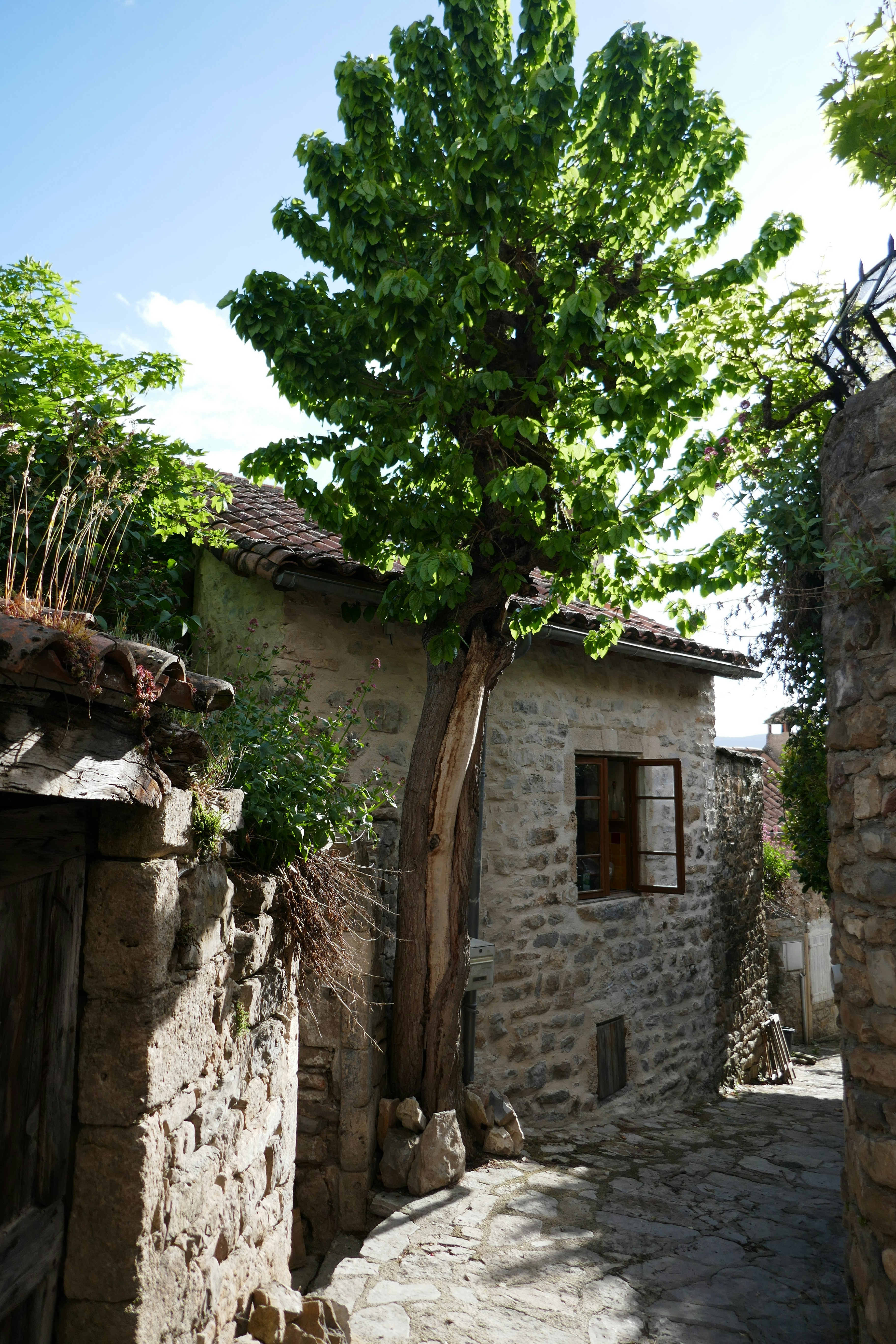 Photo by alexisribeyrecarnetdevoyage