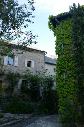 A stone building covered in green vines