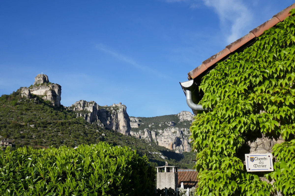 Limestone towers and cliffs behind a vine-covered house in the Gorges du Tarn