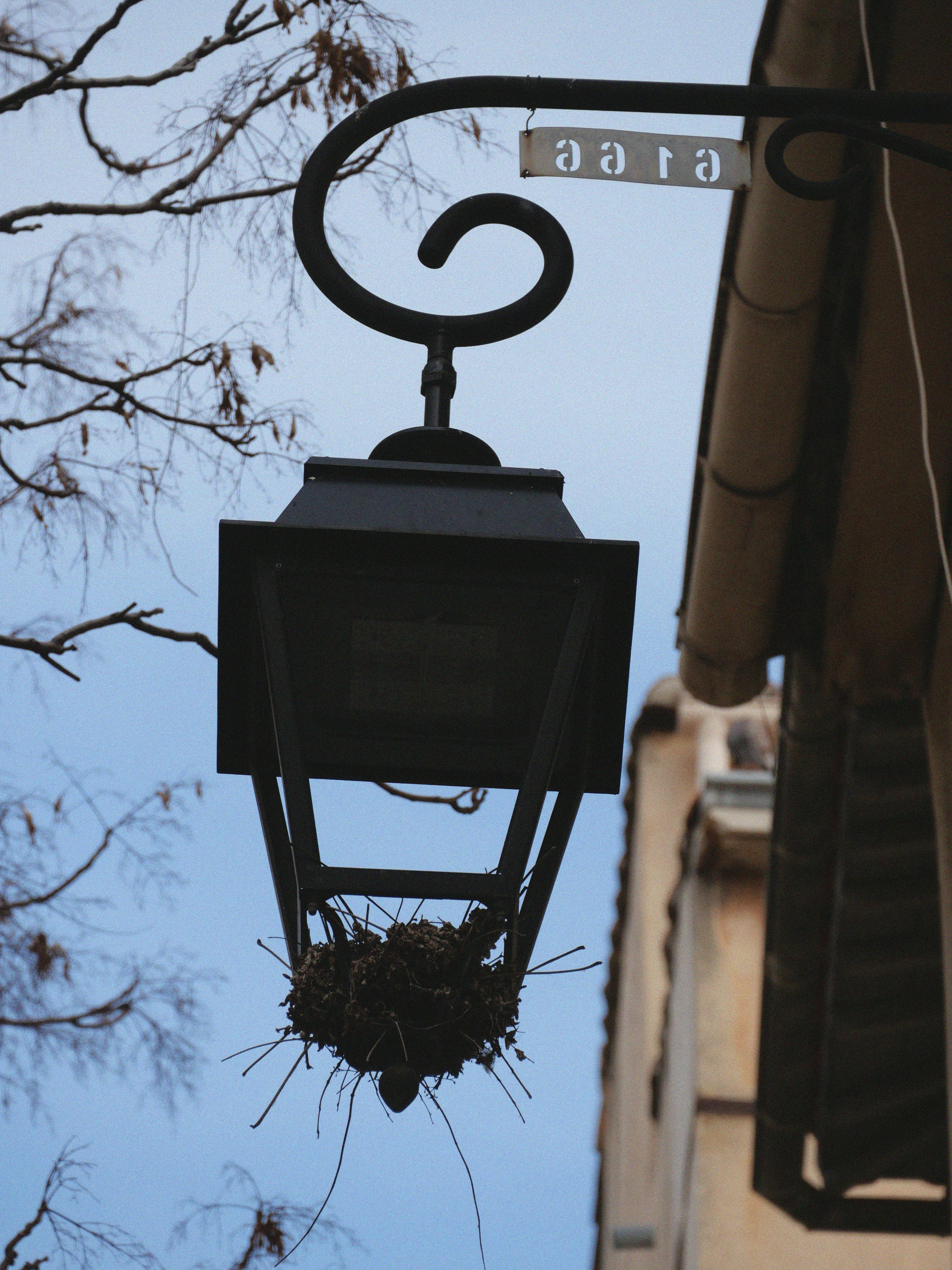 Photo by mael_leseney