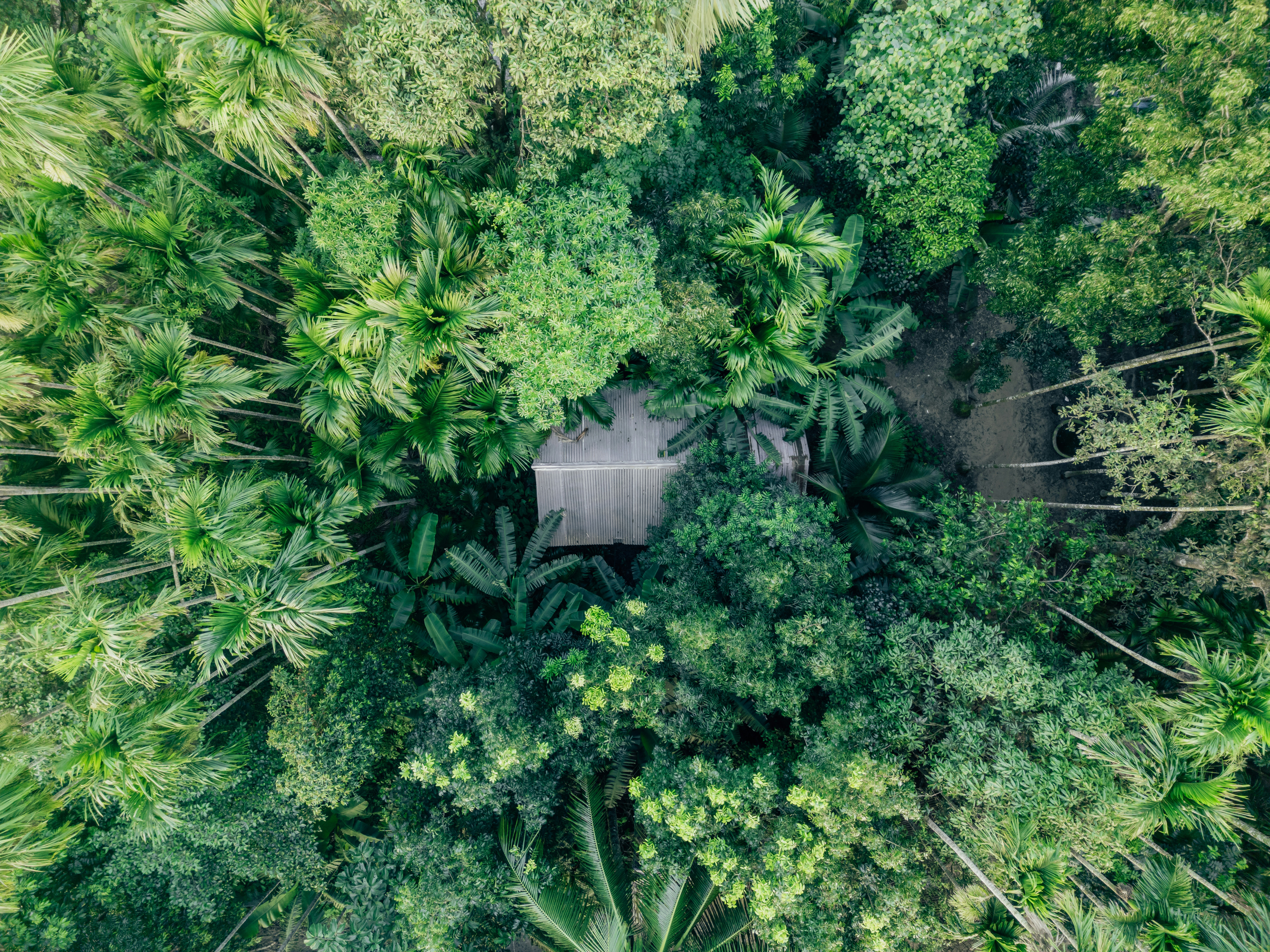 Photo by abdulkayum97