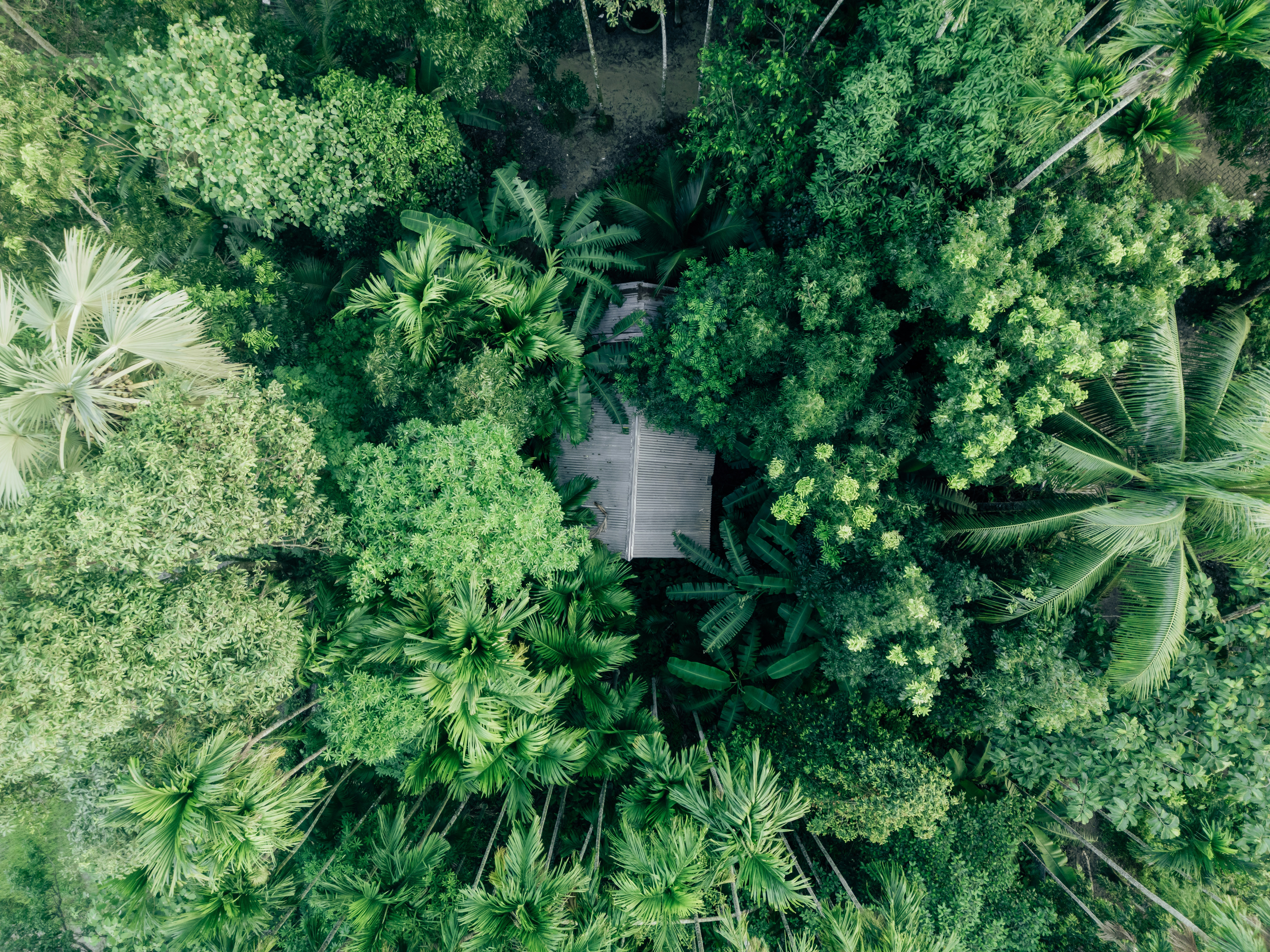 Photo by abdulkayum97