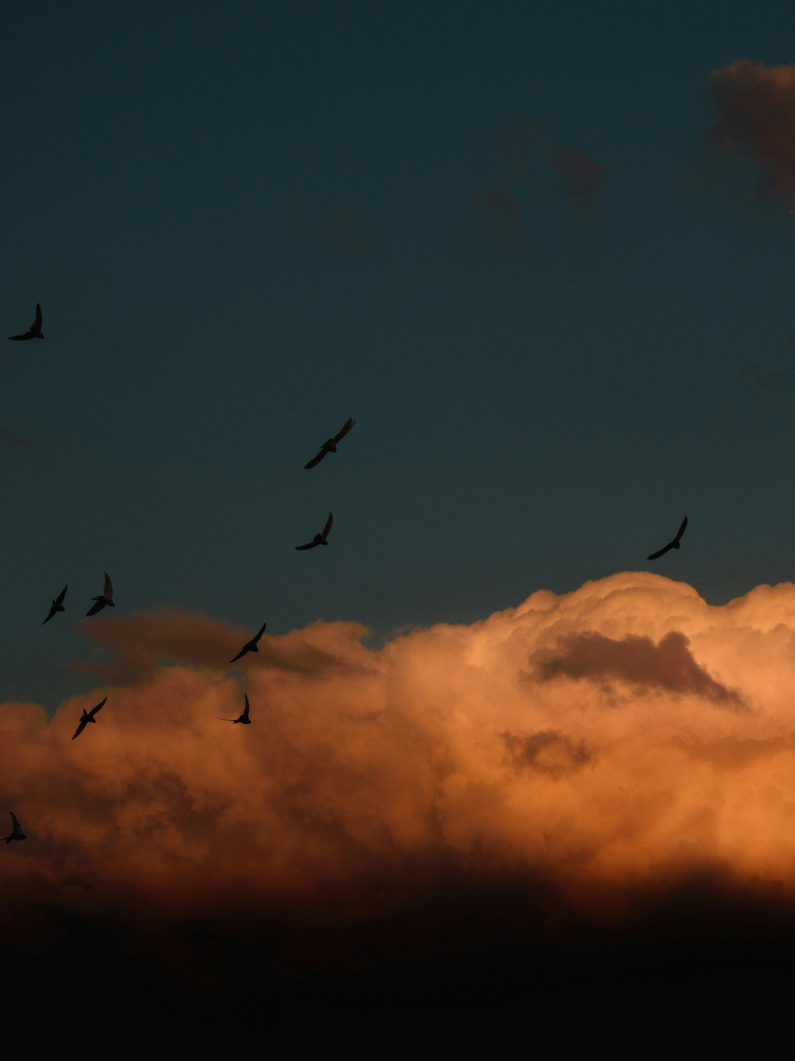 Photo by naderayman_photography