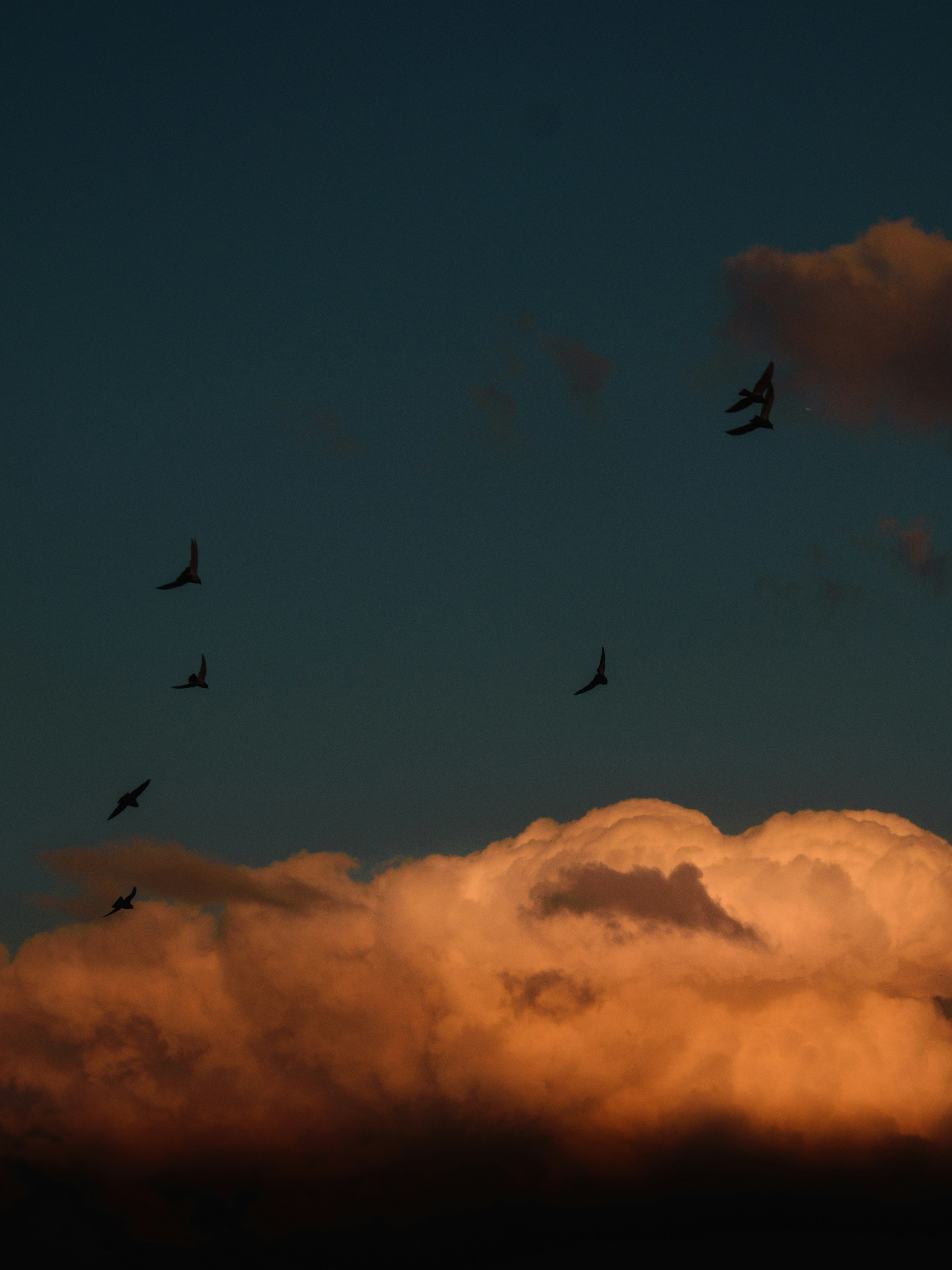 Photo by naderayman_photography