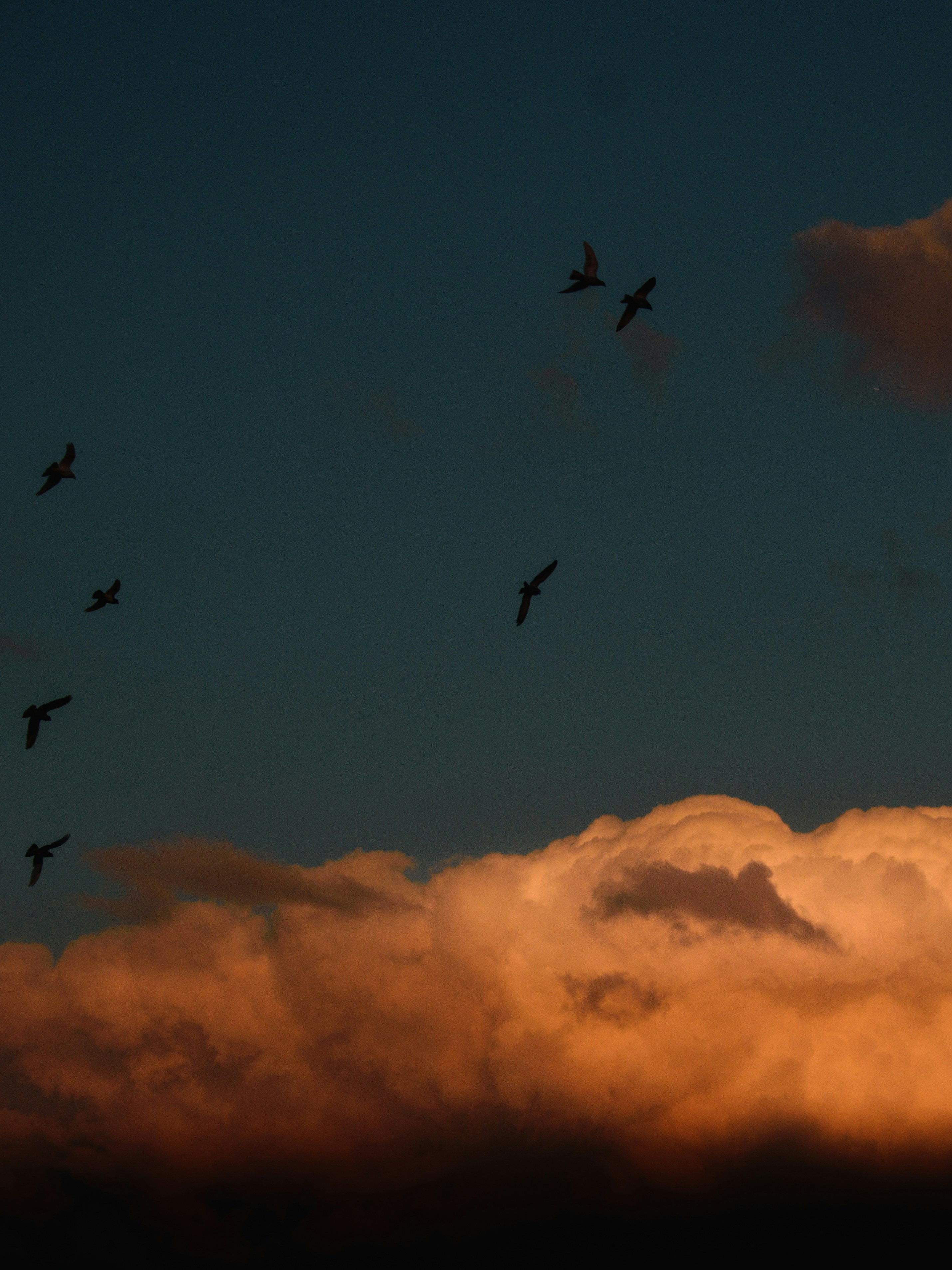 Photo by naderayman_photography