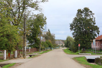 An empty street with houses and trees on both sides