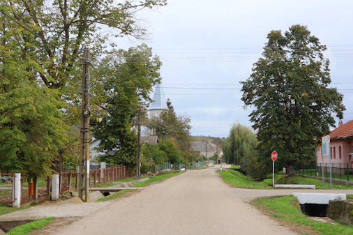 An empty street with houses and trees on both sides