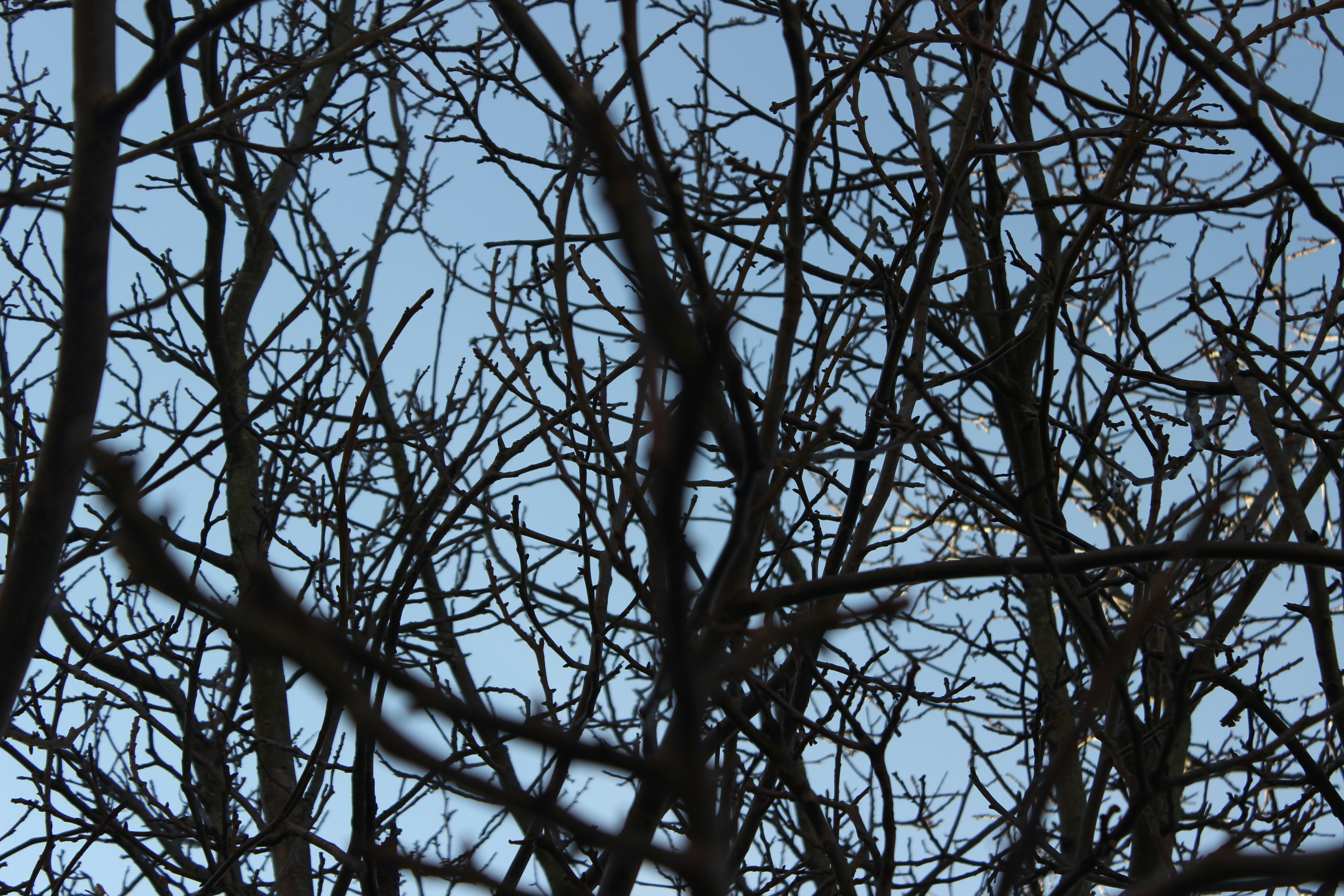 Photo by themi_photos