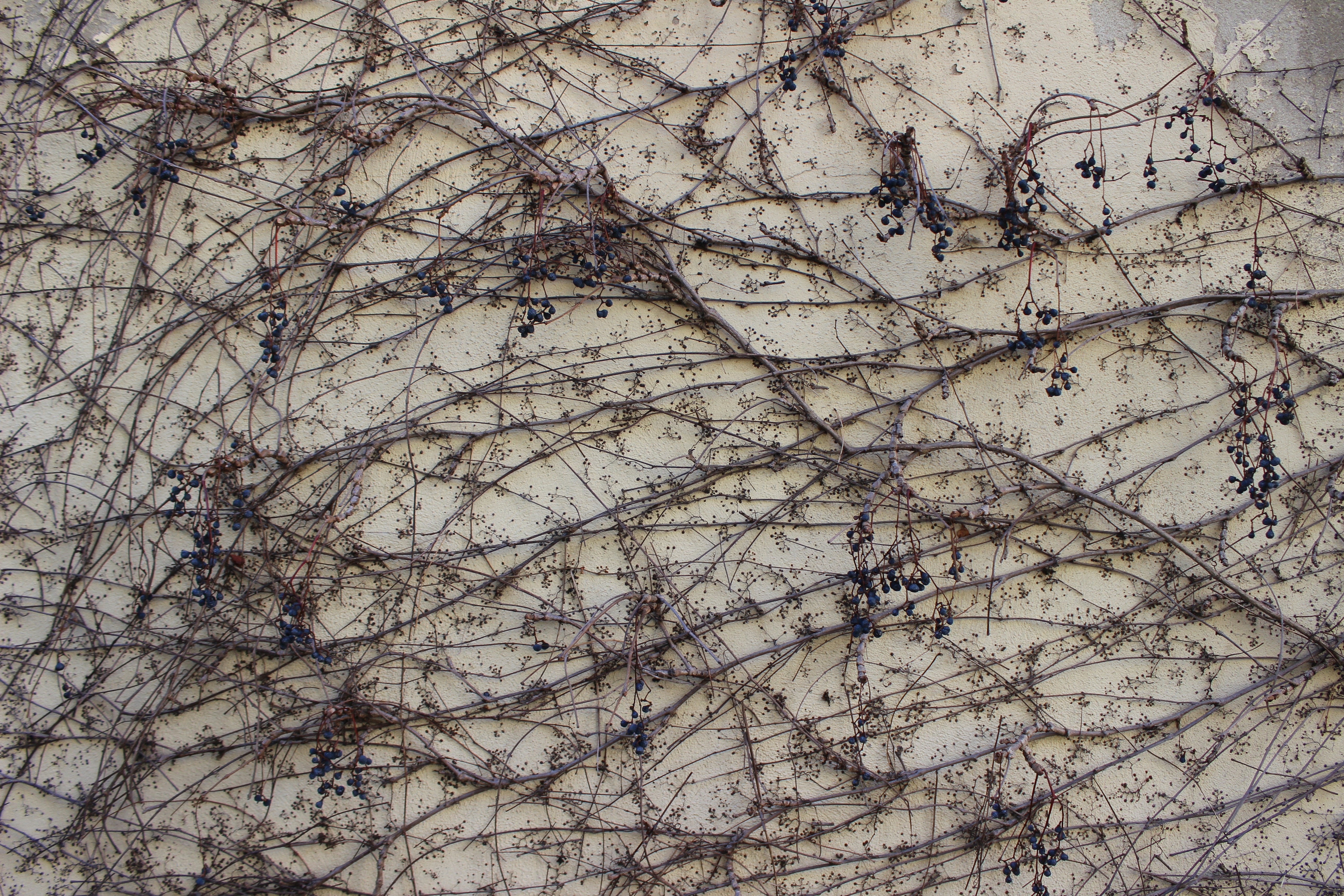 Photo by themi_photos