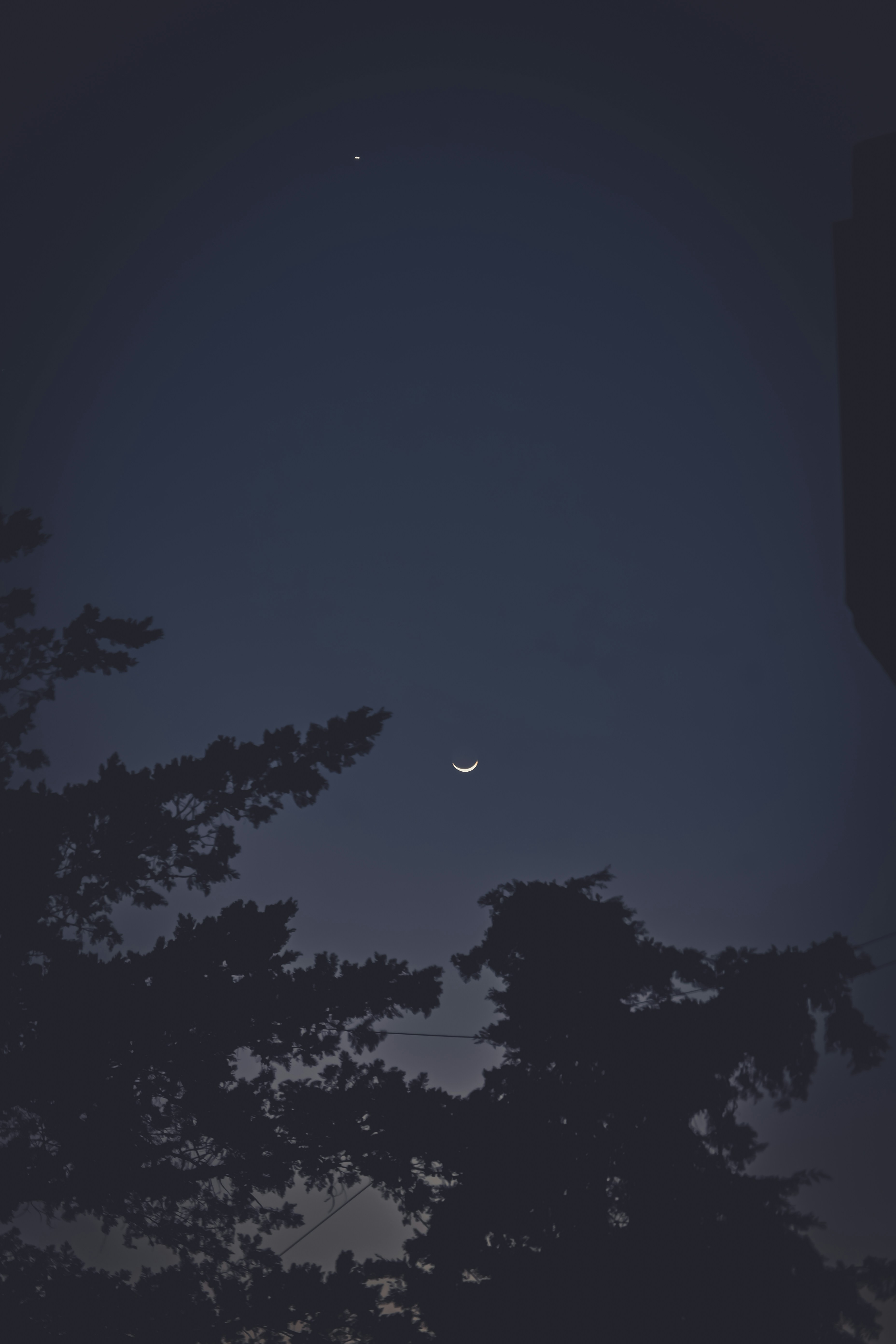 Photo by sanailar