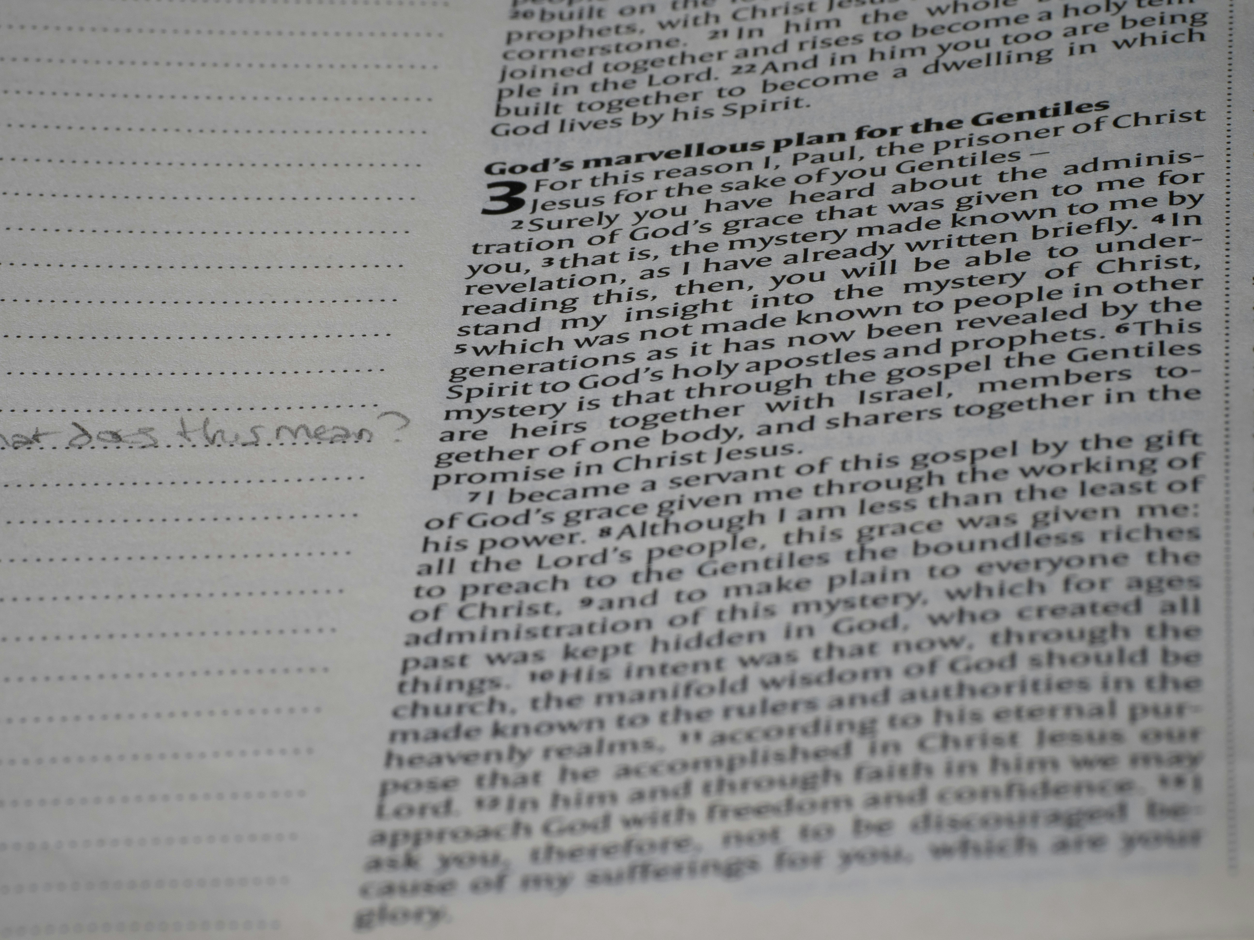 Photo by brett_jordan