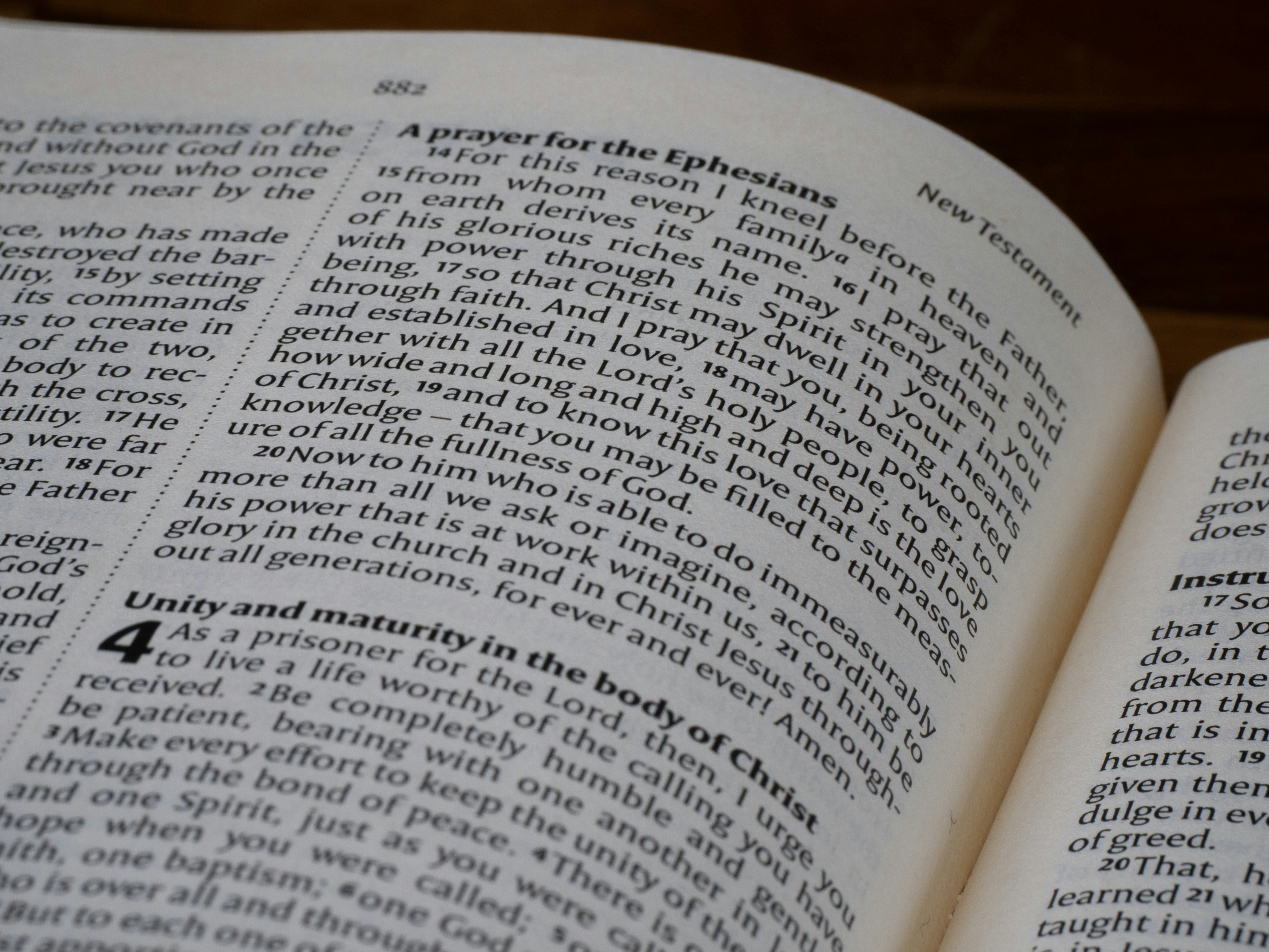 Photo by brett_jordan