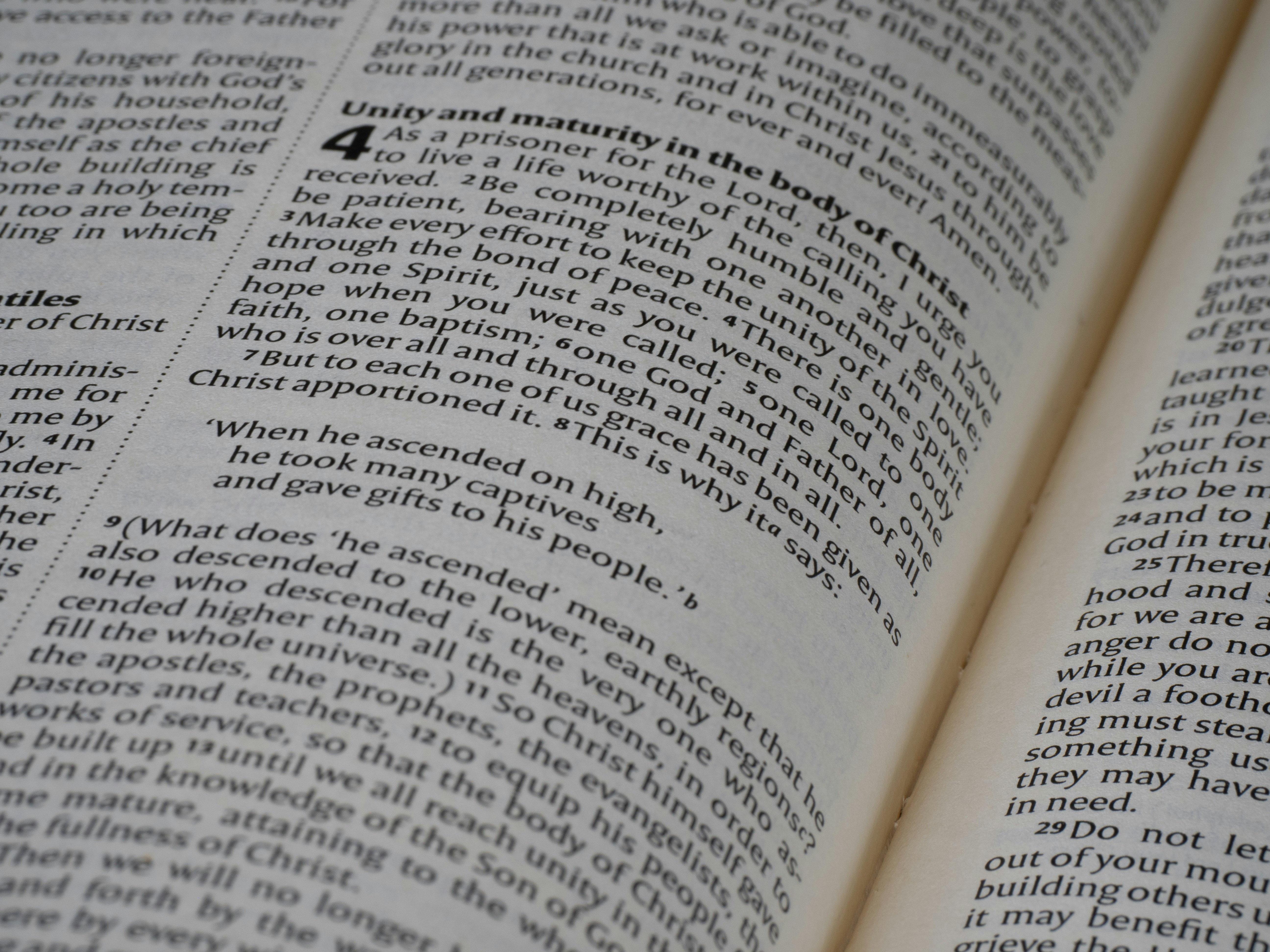 Photo by brett_jordan