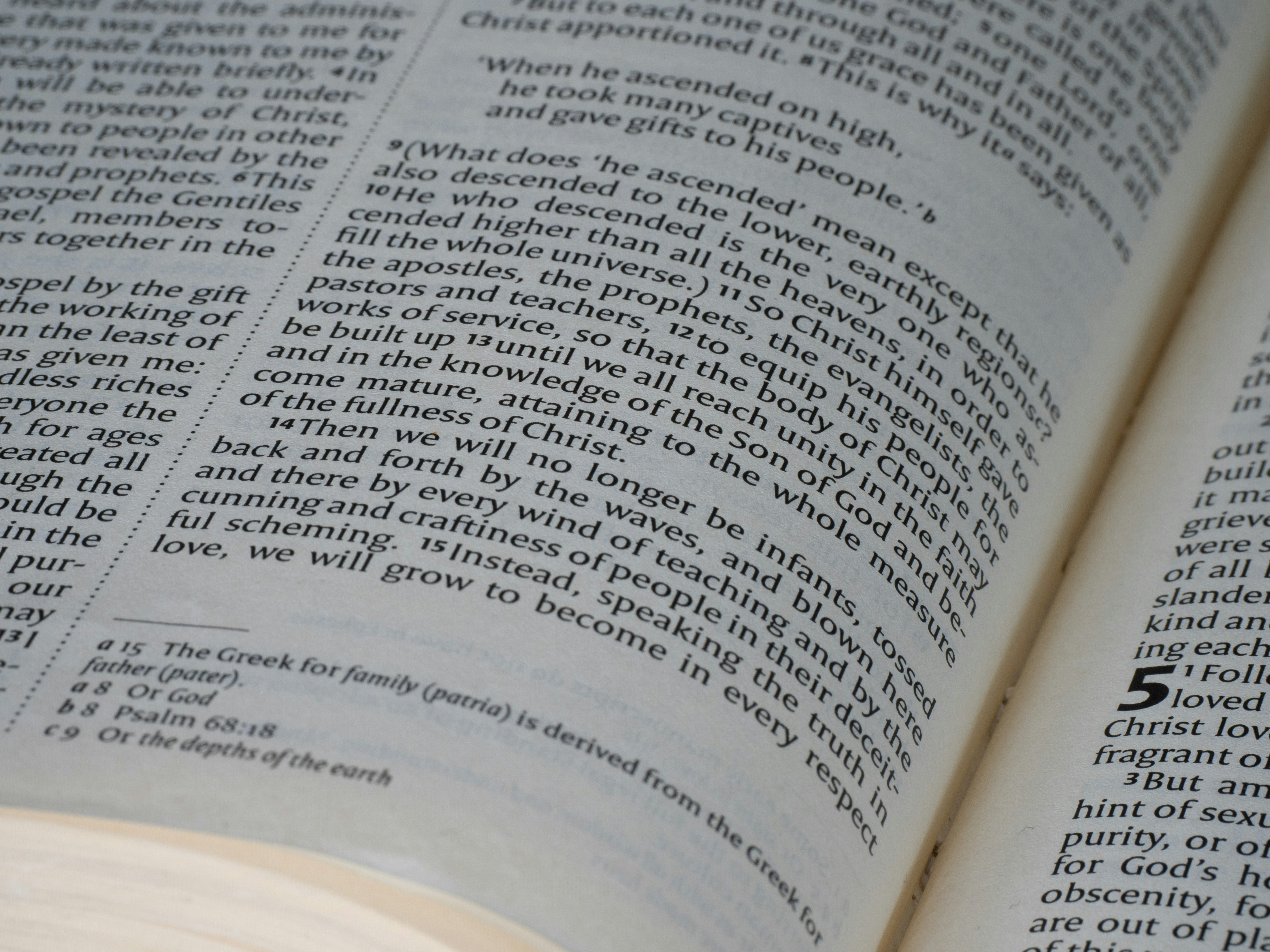 Photo by brett_jordan