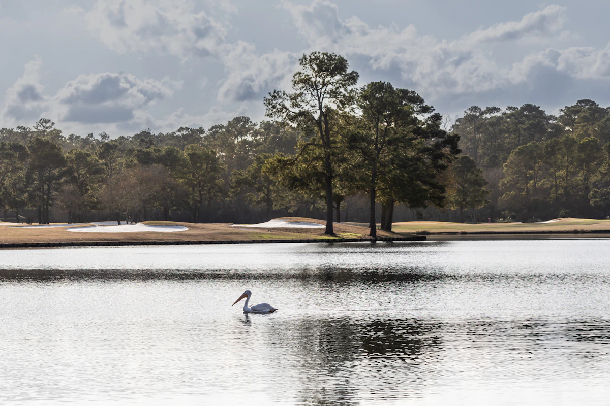 Golf course pond lined with trees