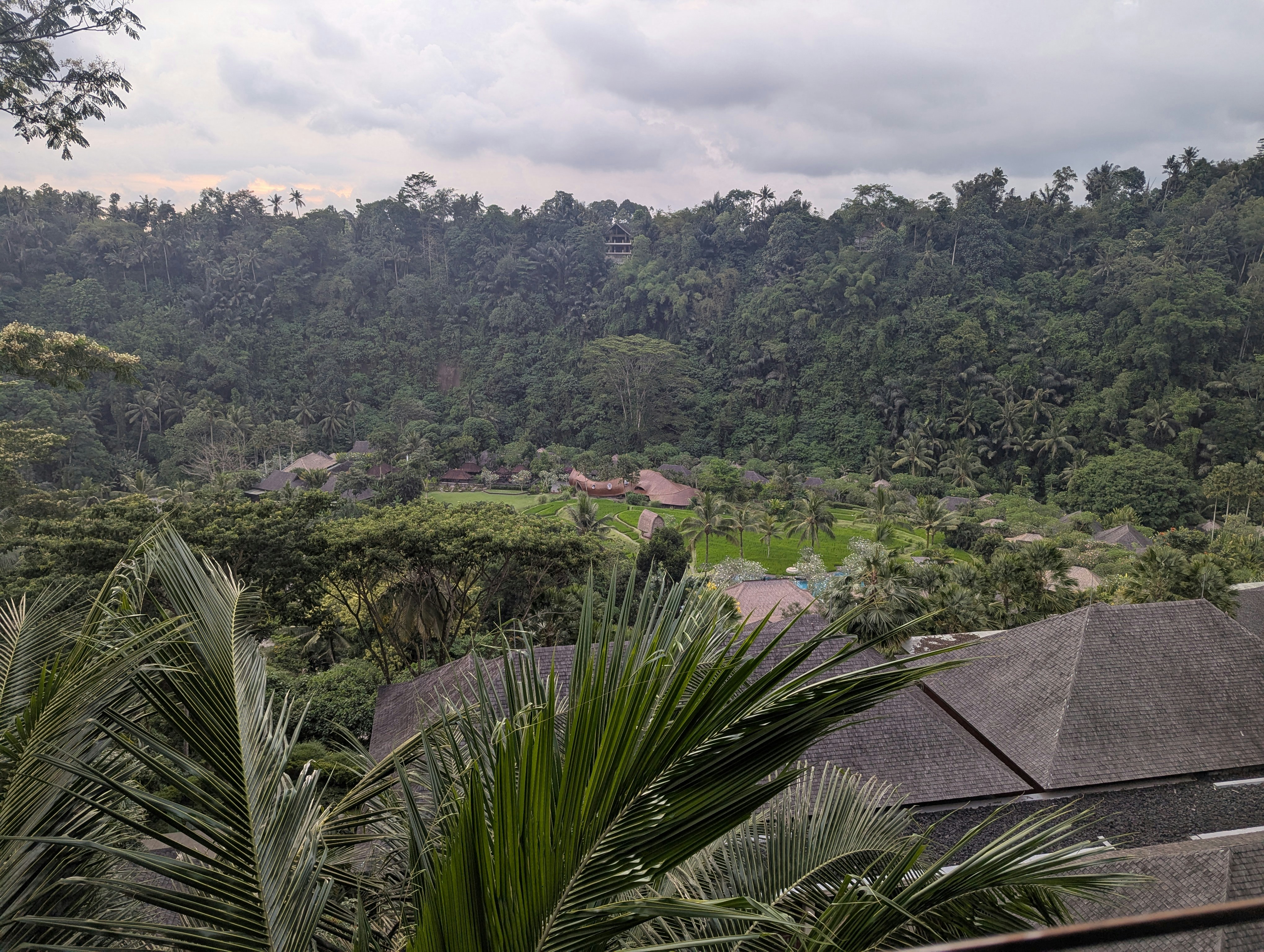 Photo by frugalflyer